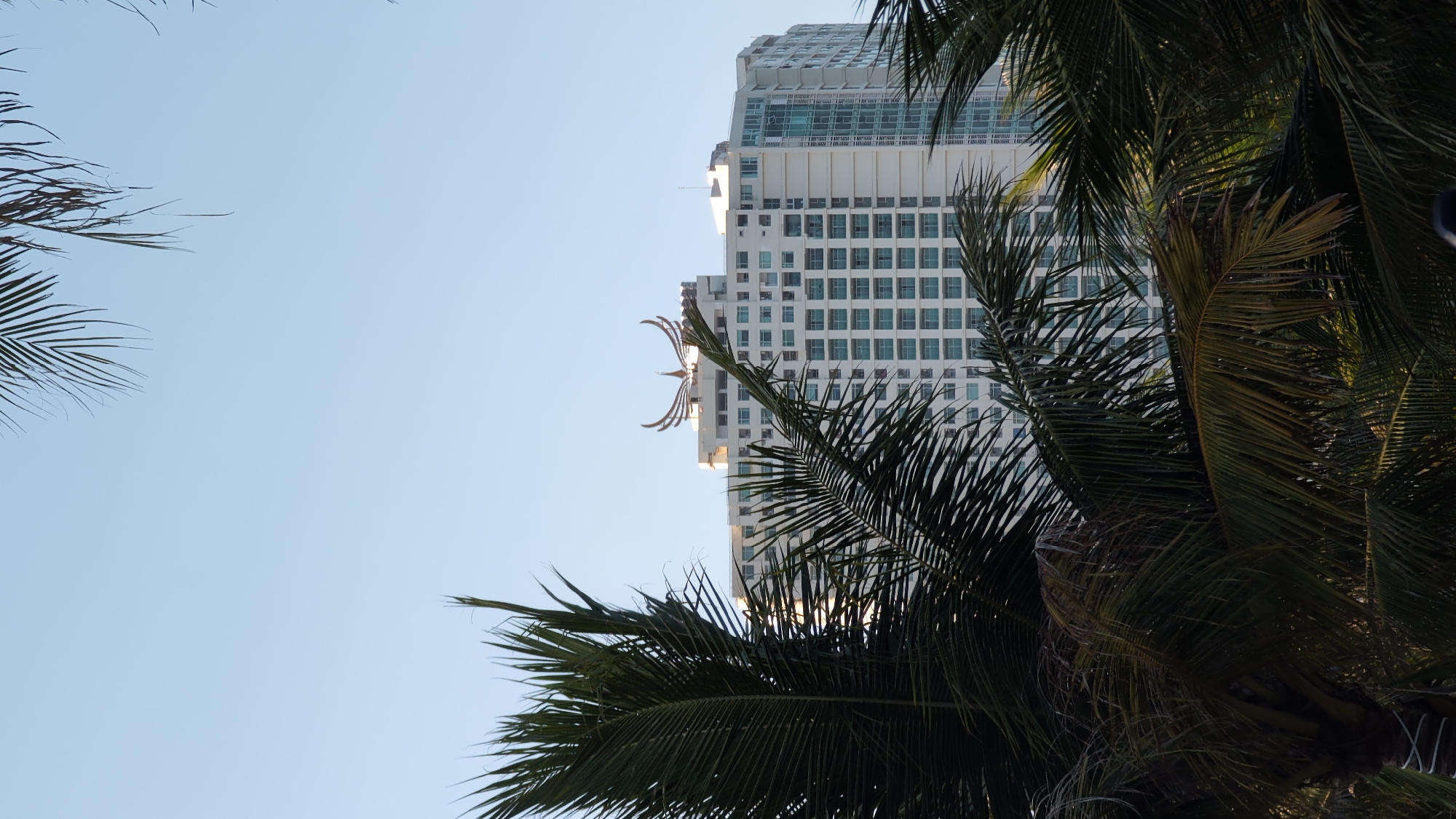 A tall, white, multi-story building with a decorative golden emblem on its roof is visible through the fronds of dark green palm trees. The building has numerous windows with turquoise-tinted glass, arranged in a grid pattern. The sky above is clear and pale blue. The scene appears to be from a tropical or subtropical location, possibly a resort or hotel, given the presence of palm trees and the style of the building.