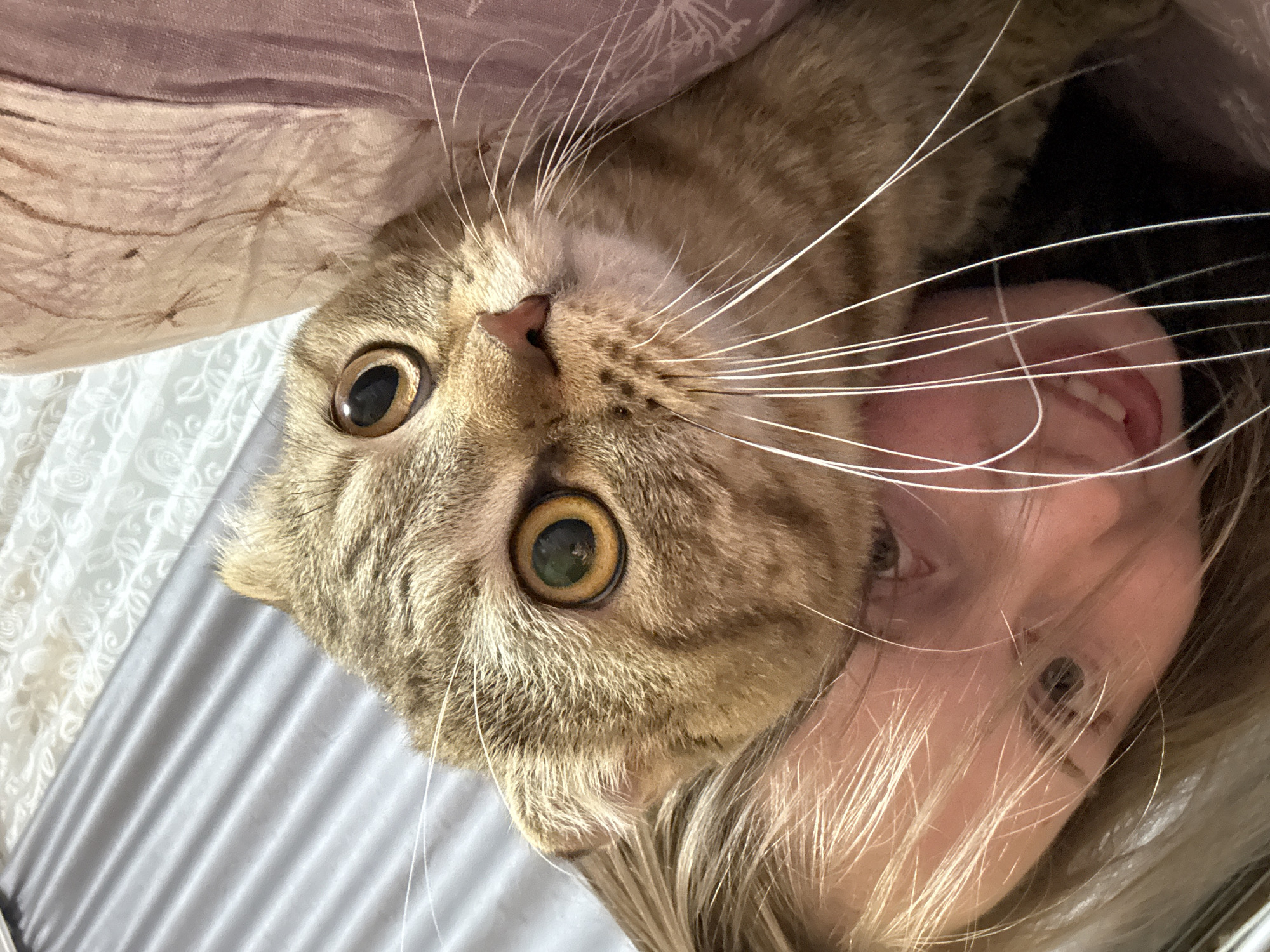 A close-up shot shows a person's face partially obscured by a cat. The person's head is tilted, and their blonde hair falls across their face, with some strands appearing to tickle the cat's whiskers. The cat, a tabby breed, has large, expressive amber eyes and its face is positioned directly in front of the person's, creating a sense of closeness and playful interaction. The background is softly blurred, with hints of a grey, striped surface and a textured, possibly fabric material in a muted pinkish hue. The overall impression is one of intimate connection and a moment of shared affection between the person and the cat.