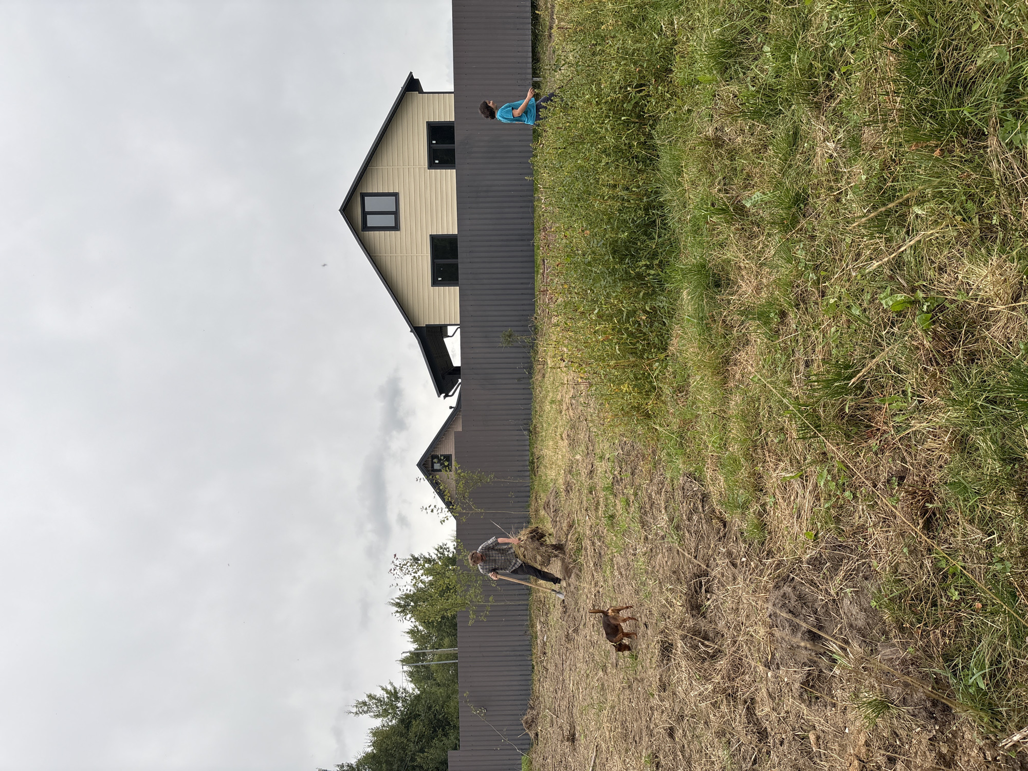 In the city of Lyady, Russia, on an overcast day, a man in a checkered shirt is using a shovel to gather a pile of dried grass and dirt. A small brown and black dog sniffs the ground nearby. Behind them, a brown metal fence separates the yard from a field of tall green grass and some sparse vegetation. Further in the background, two houses with light-colored siding and dark roofs are visible. A woman in a blue shirt walks through the tall grass on the right side of the frame. The ground in the foreground is mostly dry dirt and straw, indicating recent work or a natural dry period.