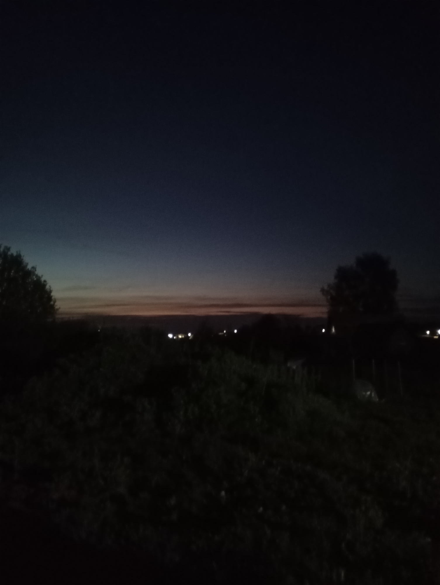 The image depicts a landscape at dusk or night. The sky transitions from a dark blue at the top to a faint orange hue near the horizon. In the distance, there are a few scattered lights, possibly from buildings or streetlights. The foreground is dominated by dark vegetation, obscuring any distinct features. Trees are visible on either side of the frame, their outlines silhouetted against the fading light. The scene lacks details, suggesting a rural or undeveloped area. The specific location within the city of Unknown, Unknown is indiscernible from the available information.