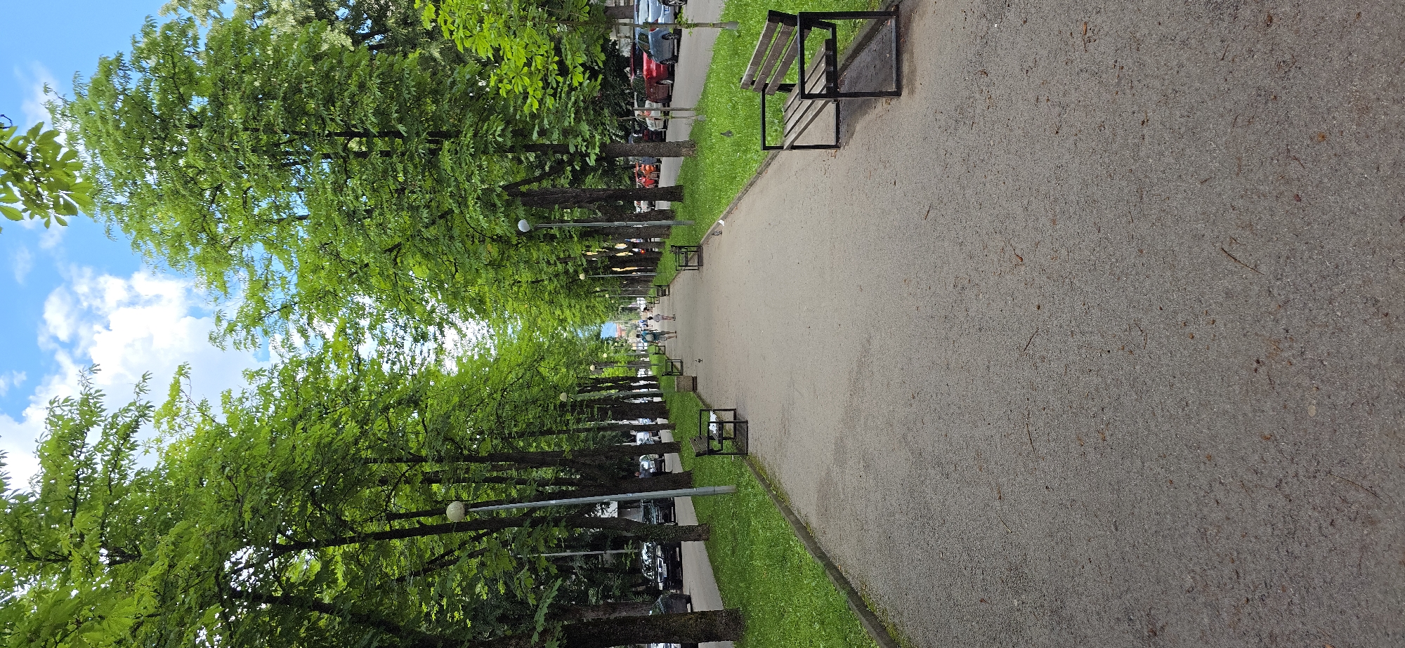 The image depicts a tree-lined pedestrian promenade in the city of Unknown, Unknown, under a partially cloudy blue sky. A wide, light-gray, granular pathway extends from the foreground into the distance, flanked by strips of green grass on both sides. Numerous tall deciduous trees with dense, bright green foliage form an avenue, casting some dappled light.
Along the pathway, on the grass strips, are several uniformly designed dark-framed park benches with wooden slats. One such bench is prominent in the right foreground. Tall, slender lampposts with spherical luminaires are positioned at regular intervals between the trees and the pathway. At least two concrete trash receptacles are visible near some benches.
In the mid-ground, two individuals are walking away from the camera on the pathway: a taller adult in a light shirt and dark shorts, accompanied by a smaller child. Scattered on the pathway and grass are a few birds, likely pigeons. Beyond the grass and trees on both sides of the promenade, parallel streets are visible, occupied by parked and possibly moving cars of various colors. The scene suggests a pleasant daytime in a park or urban green space.