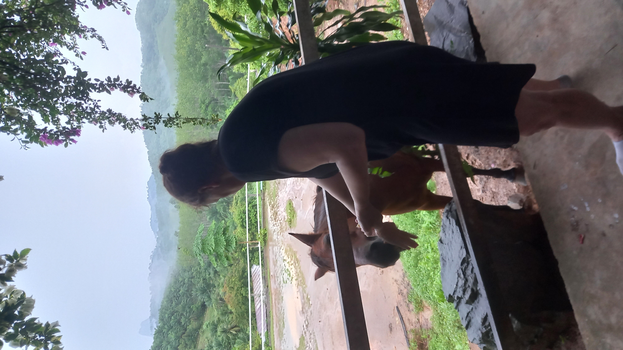 A woman in a black dress interacts with a horse over a metal railing. The woman is leaning over the railing with her hands near the horse's head. The horse's head is facing towards the woman, suggesting an interaction between them. The background reveals a landscape with lush greenery and trees, which is consistent with the rural setting of Ban Tak Daet, Thailand. The terrain is hilly or mountainous, and the sky is overcast. There is a building in the far background.