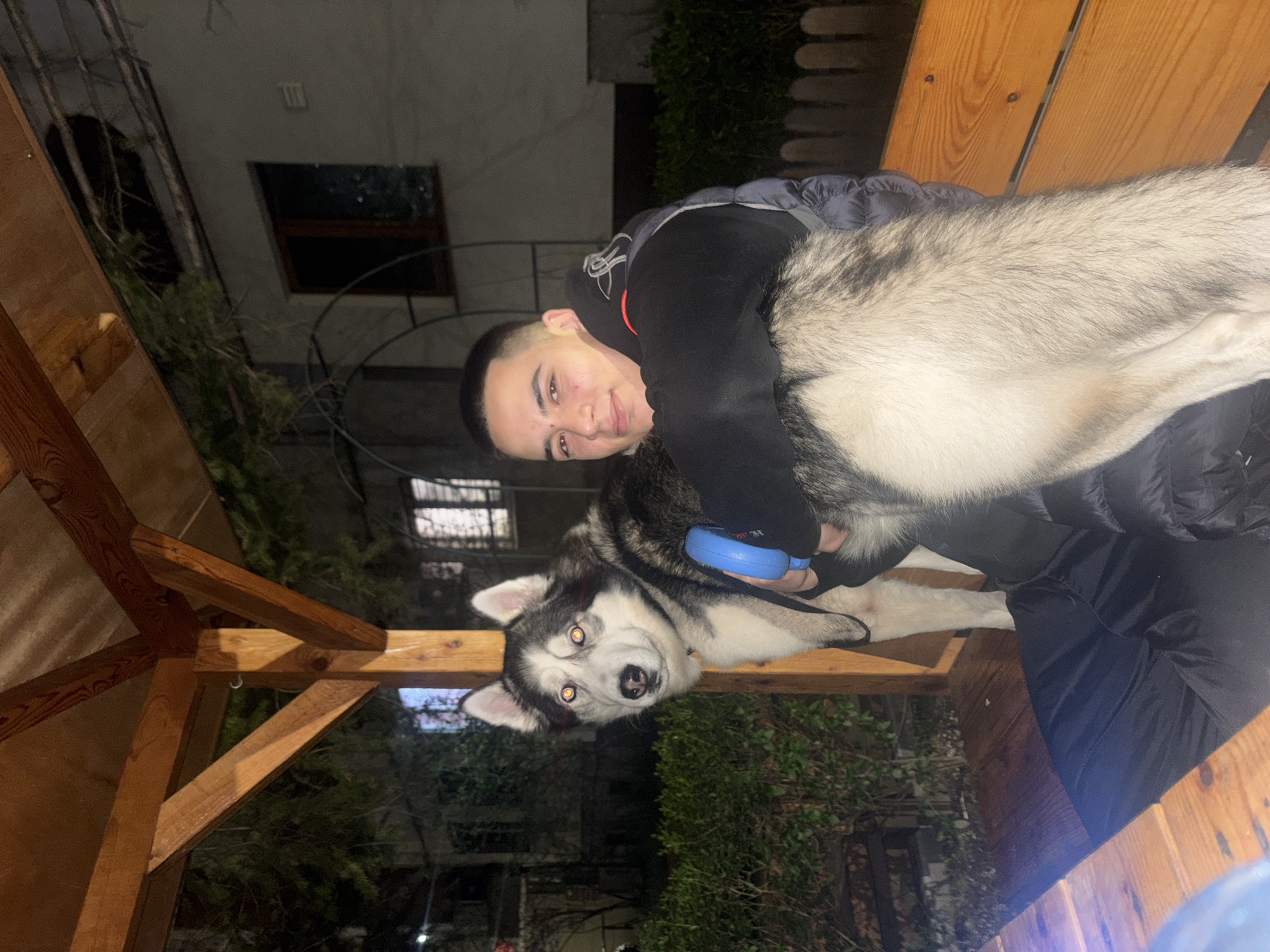 A young man with short, dark hair is embracing a husky dog in an outdoor setting. They are positioned on a wooden structure, potentially a gazebo or a bench. The man is wearing a dark hoodie and jacket. The husky has a black and white coat and is looking directly at the camera. The background includes foliage and a building with windows. The location is likely in Plovdiv, Bulgaria, but specific landmarks are not discernible from the image. There are no visible actions besides the embrace.