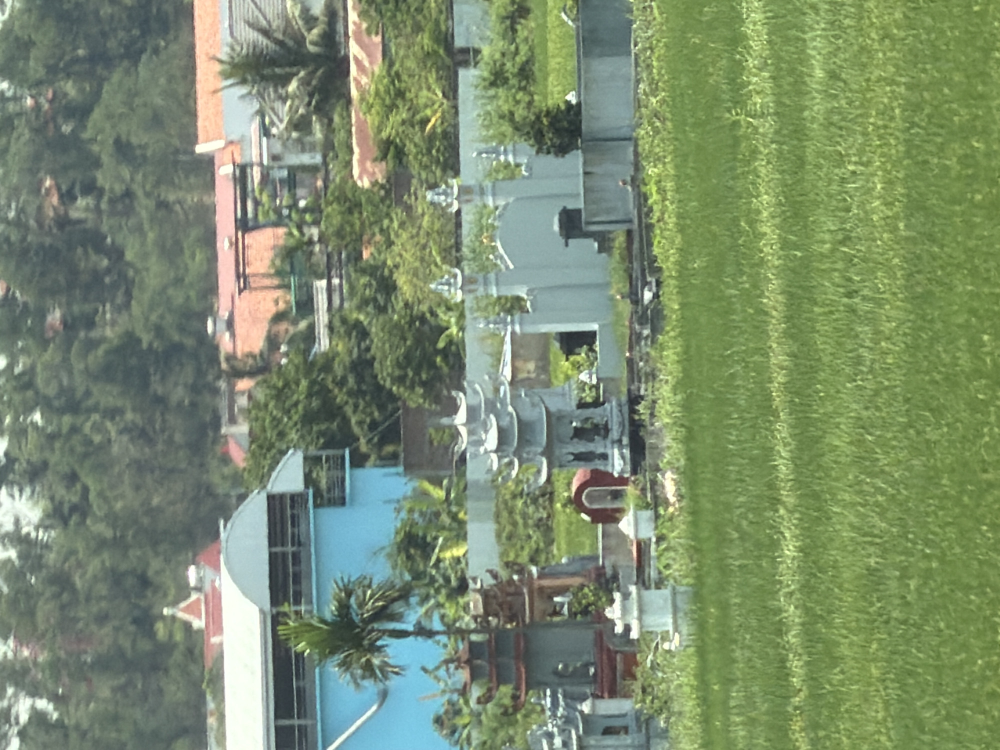 The image shows a partial view of a cemetery in Hải Phòng, Vietnam, alongside a green field. Tombstones and memorials, varying in style and color (gray, red, and white), are interspersed with trees and greenery. The foreground is dominated by a verdant field. A blue and white building with a curved roof is visible behind the cemetery. In the distance, houses and lush trees complete the urban landscape. The scene appears to be captured from an elevated viewpoint.