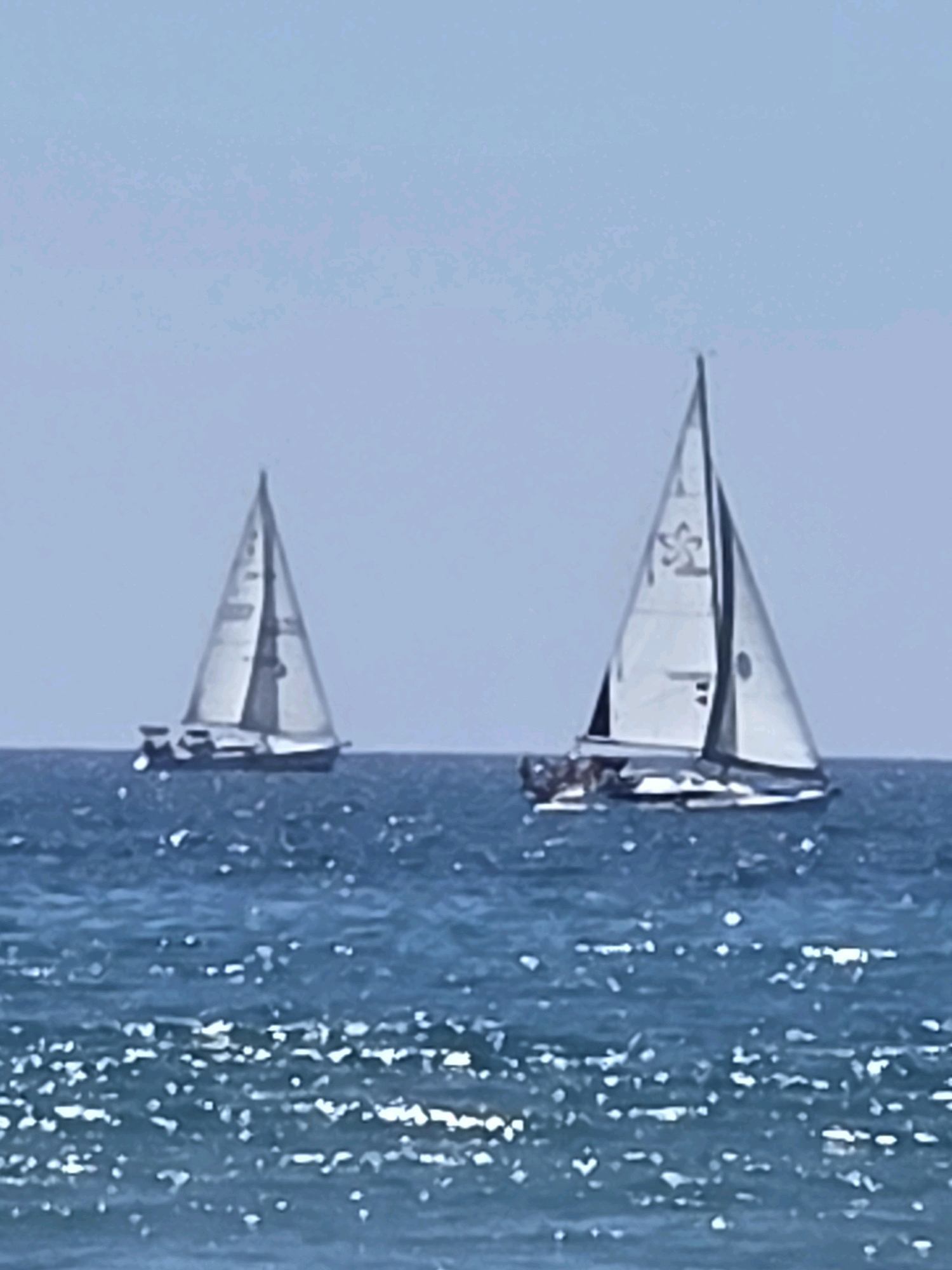 Two sailboats are visible on a calm, blue sea under a clear sky. The sailboat on the left is further in the distance and appears smaller. The sailboat on the right is closer and larger, with a white sail displaying a black emblem. Both sailboats are oriented to the right. The water is calm with a few whitecaps and some sun glare reflecting off the surface. The horizon is a faint line separating the sea and sky. The image lacks any specific landmarks that would allow for precise localization to Santa Monica, United States of America.