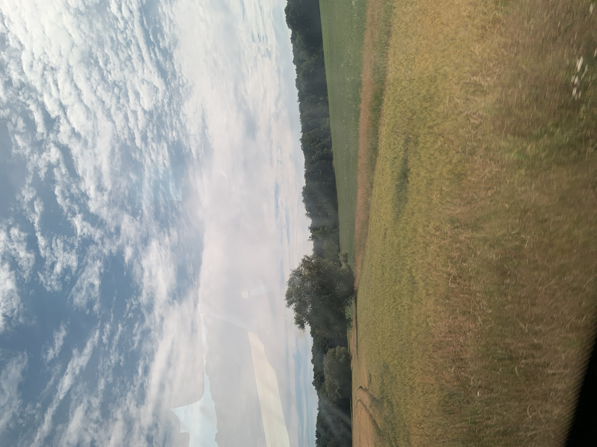 This is a landscape photograph taken in Niederwetz, Germany, depicting a rural scene under a cloudy sky. The foreground is dominated by a field of golden-brown crops, likely wheat or barley, with some green grass interspersed. The field exhibits a slight curve, suggesting a path or the contour of the land. In the middle ground, a large, bushy tree stands prominently to the right of center, casting a shadow. Behind the tree and the field, a dense line of dark green trees forms a forest edge. The sky is a pale blue, filled with a pattern of white, wispy clouds. There are reflections on the surface of what appears to be a window, obscuring parts of the upper left quadrant of the image. No people or animals are visible. The overall impression is one of a tranquil, agrarian landscape on a partly cloudy day.