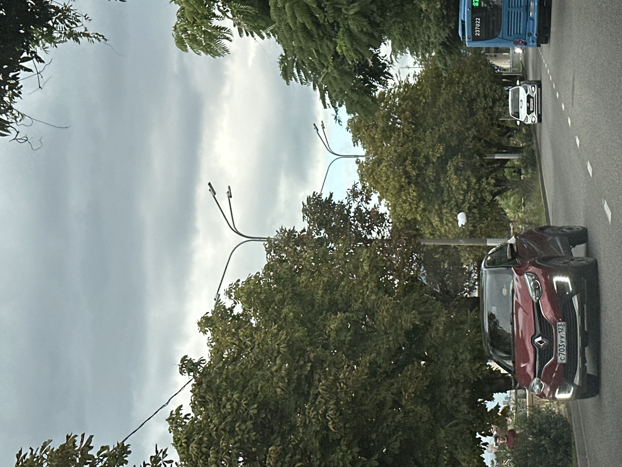 This image captures a street scene in Sochi, Russia, likely during the day under cloudy skies. The foreground features a red Renault Captur SUV driving on an asphalt road. The car's license plate is visible, reading "C 703 YY 123". To the right of the Renault, a white Hyundai car is also on the road, and further to the right, a blue bus is visible with the number "237022" displayed. Lush green trees line both sides of the road, with some appearing to be chestnut trees based on their leaf structure. Overhead, streetlights are present, with one prominent lamp post featuring two lights. In the background, a person in a dark red shirt is visible standing near a stone wall and some bushes, on the left side of the frame. The sky is overcast and gray, indicating a cloudy day.