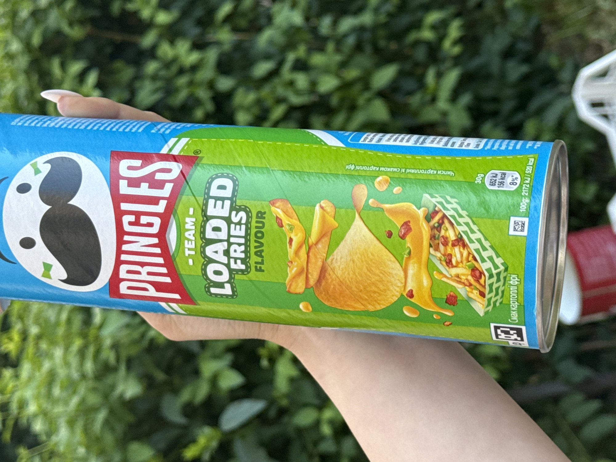 A person's hand, with well-maintained fingernails, is holding a Pringles can of "Loaded Fries" flavor. The can is blue with a green and white checkered pattern, featuring images of potato chips and fries with cheese and bacon toppings. The Pringles logo is prominently displayed in red and white. The background consists of blurred green foliage, suggesting an outdoor setting on a sunny day. Visible text on the can includes "PRINGLES", "-TEAM-", "LOADED", "FRIES", "FLAVOUR", and nutritional information in Ukrainian. The person's arm and shoulder are also partially visible. The overall impression is that of a casual moment, perhaps a snack break outdoors.