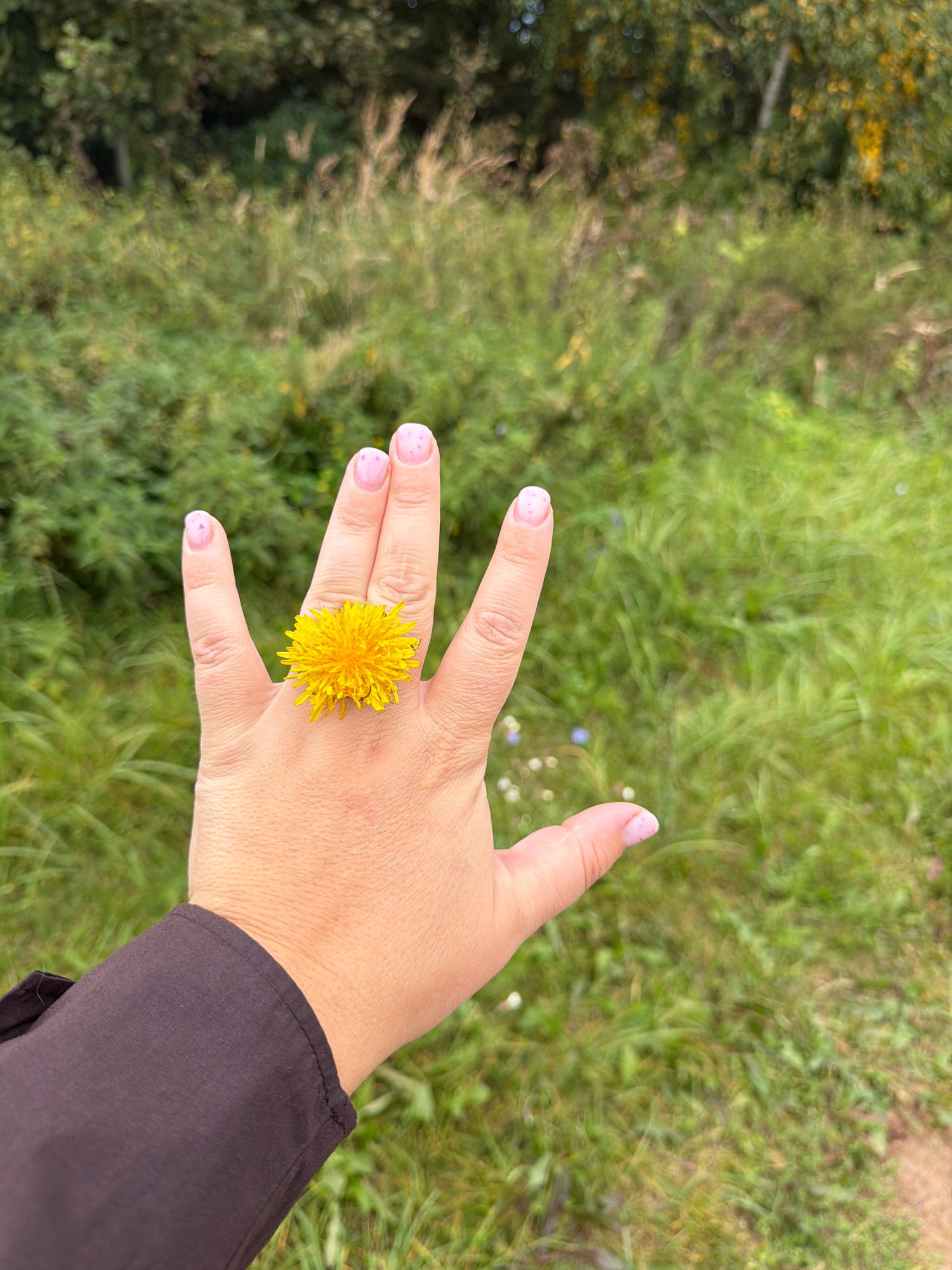 A person's left hand, adorned with a yellow dandelion as a ring, is held up in the foreground, with the palm facing the viewer. The fingers are spread, and the dandelion is positioned on the ring finger. The person is wearing a dark-colored shirt. The background is a blur of green grass and trees, suggesting an outdoor, natural setting. The location is not specified in the image or its context.