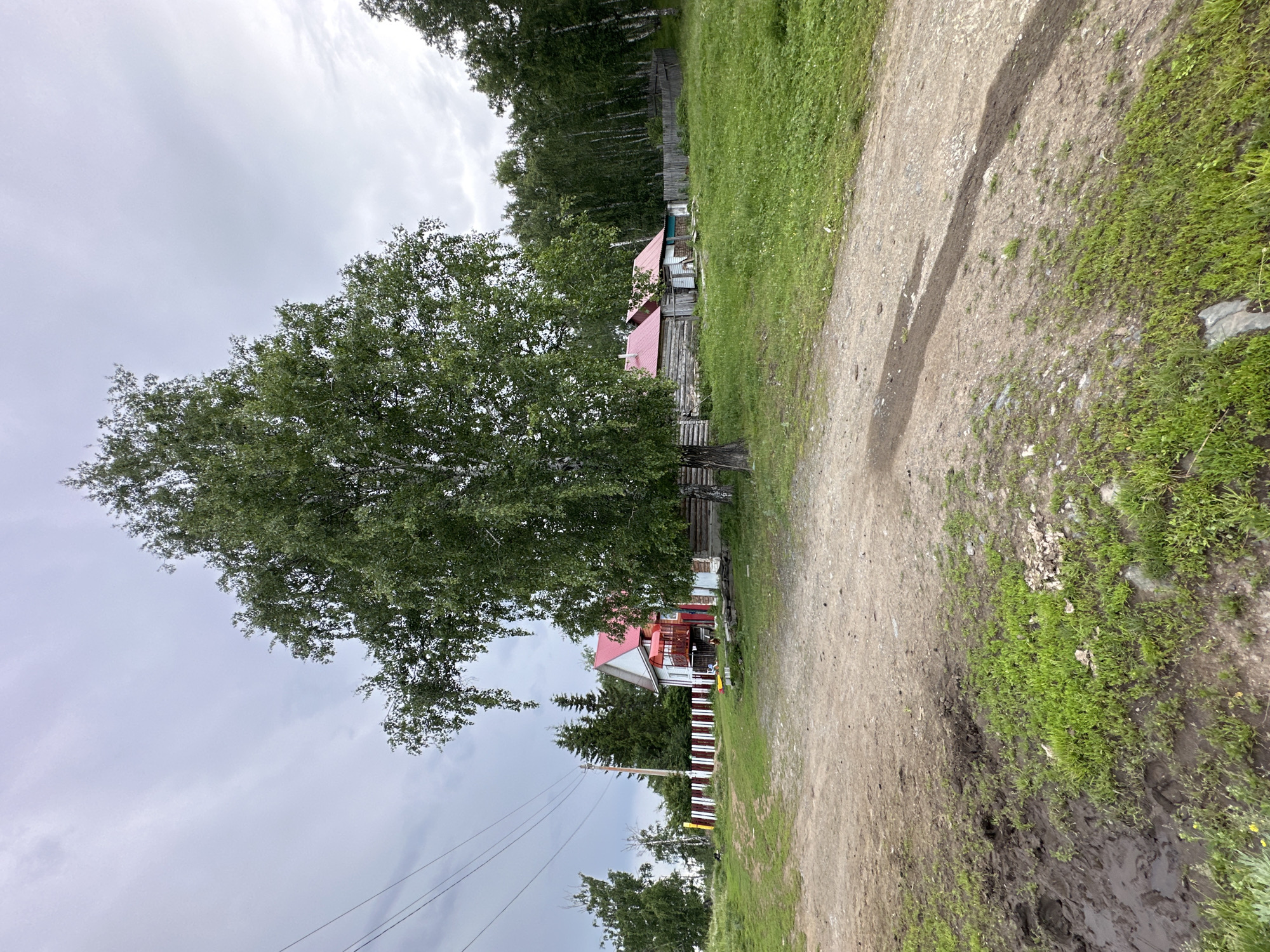 A wide shot captures a rural landscape under an overcast sky. In the foreground, a dirt road curves through a grassy area with patches of mud. Dominating the mid-ground is a large deciduous tree with lush green foliage. To the left of the tree, a two-story house with a red roof and white siding is visible, featuring a red balcony. A white and red striped fence runs along the property line. To the right of the main tree, a cluster of log cabins with red roofs sits behind a wooden fence. In the background, a dense forest of birch trees lines the horizon. Power lines stretch across the upper left portion of the image. The scene depicts a serene, bucolic setting.