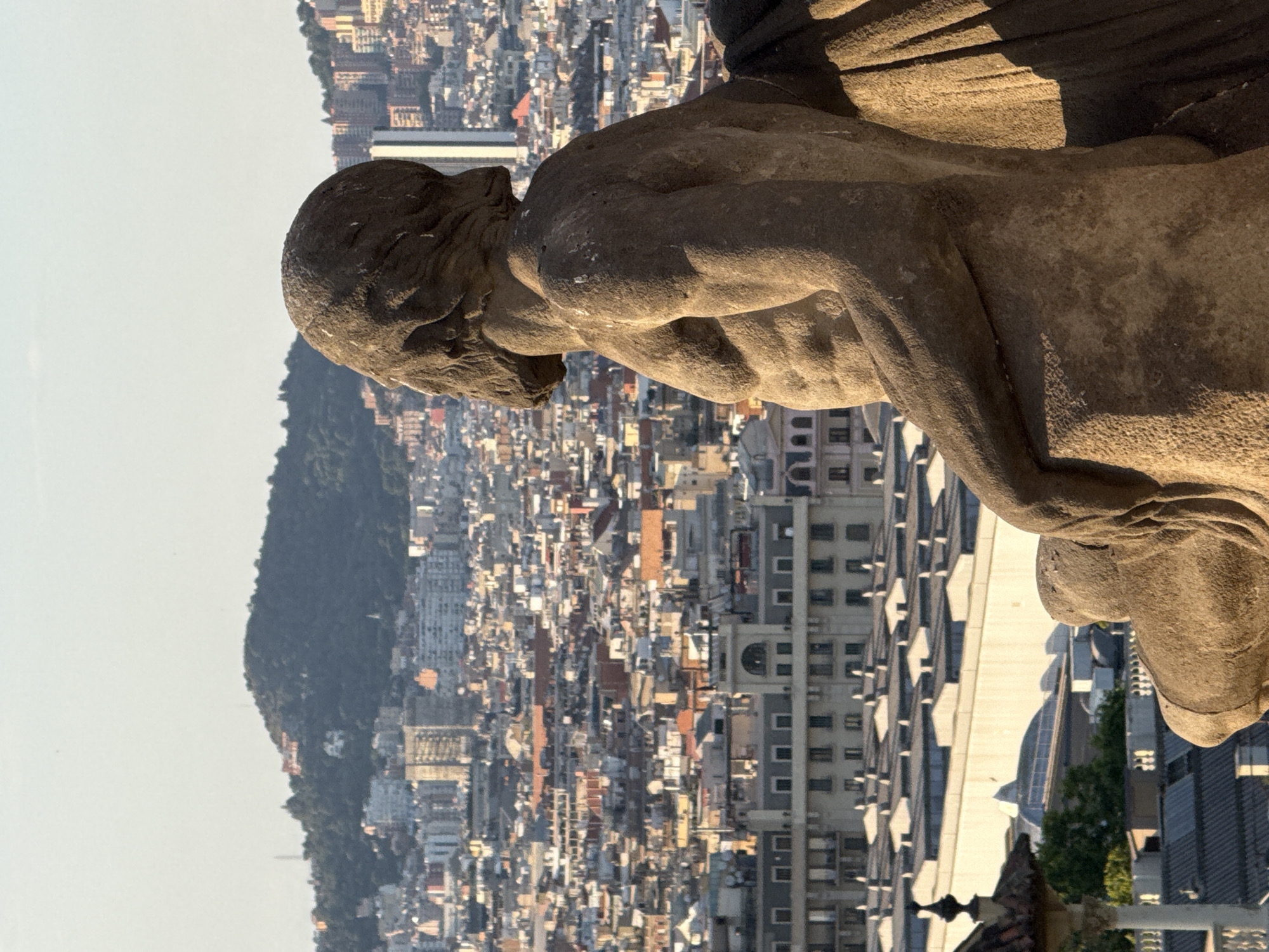 This is a medium shot, taken from behind a stone statue, looking out over a dense urban landscape. The statue, carved from rough-hewn stone, depicts a muscular figure with a flowing cloak. The figure's back and head are visible in the foreground, with its gaze directed towards the city. The city itself is a sprawling panorama of buildings in various architectural styles, with a mix of residential and commercial structures. The buildings are densely packed, with a warm, sun-drenched appearance. In the background, a large, tree-covered hill rises, crowned with a building or structure. The sky is a clear, light blue. The overall impression is one of historical grandeur and urban vitality. This is likely Montjuïc hill in Barcelona, Spain, as the statue appears to be part of the Monument a Rafael Casanova, and the cityscape is characteristic of Barcelona.