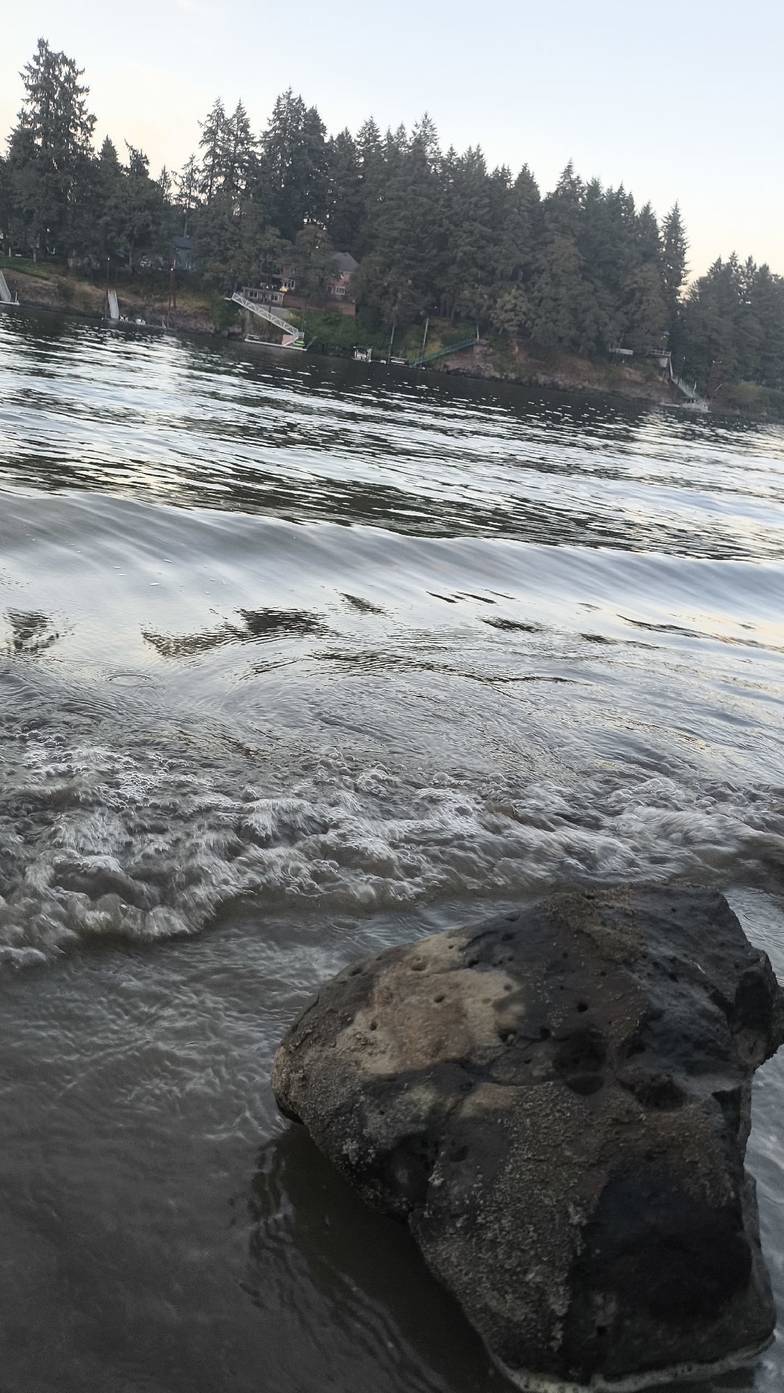 The image depicts a body of water, likely a lake, with a shoreline populated by dense evergreen trees and several houses visible amongst the foliage. In the foreground, a large, dark, and irregularly shaped rock rests on the sandy or muddy edge of the water, partially submerged. The water is calm, with gentle ripples and small waves lapping at the shore and the rock. The sky above is a pale, overcast gray, suggesting either early morning or late evening. The scene conveys a sense of natural tranquility, with the presence of residential structures indicating a developed area alongside the natural landscape. The location appears to be a residential area bordering a lake, potentially in a suburban or semi-rural setting.