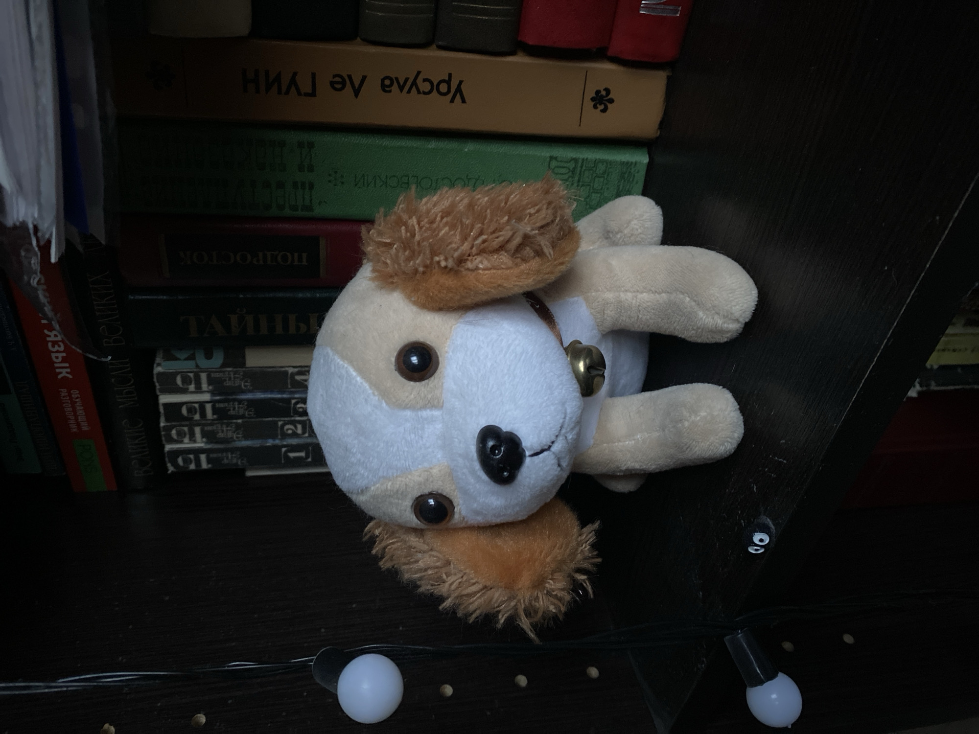 The image shows a plush dog toy lying on a shelf amongst a stack of books. The dog toy is primarily white and tan with a small bell around its neck. Several books are visible behind and to the side of the toy, with titles in Russian. A string of Christmas lights with white bulbs is stretched across the bottom of the image in front of the shelf. The background is dark, suggesting the photograph was taken indoors in dim lighting. There is nothing to indicate this image was taken in Novokuznetsk, Russia.