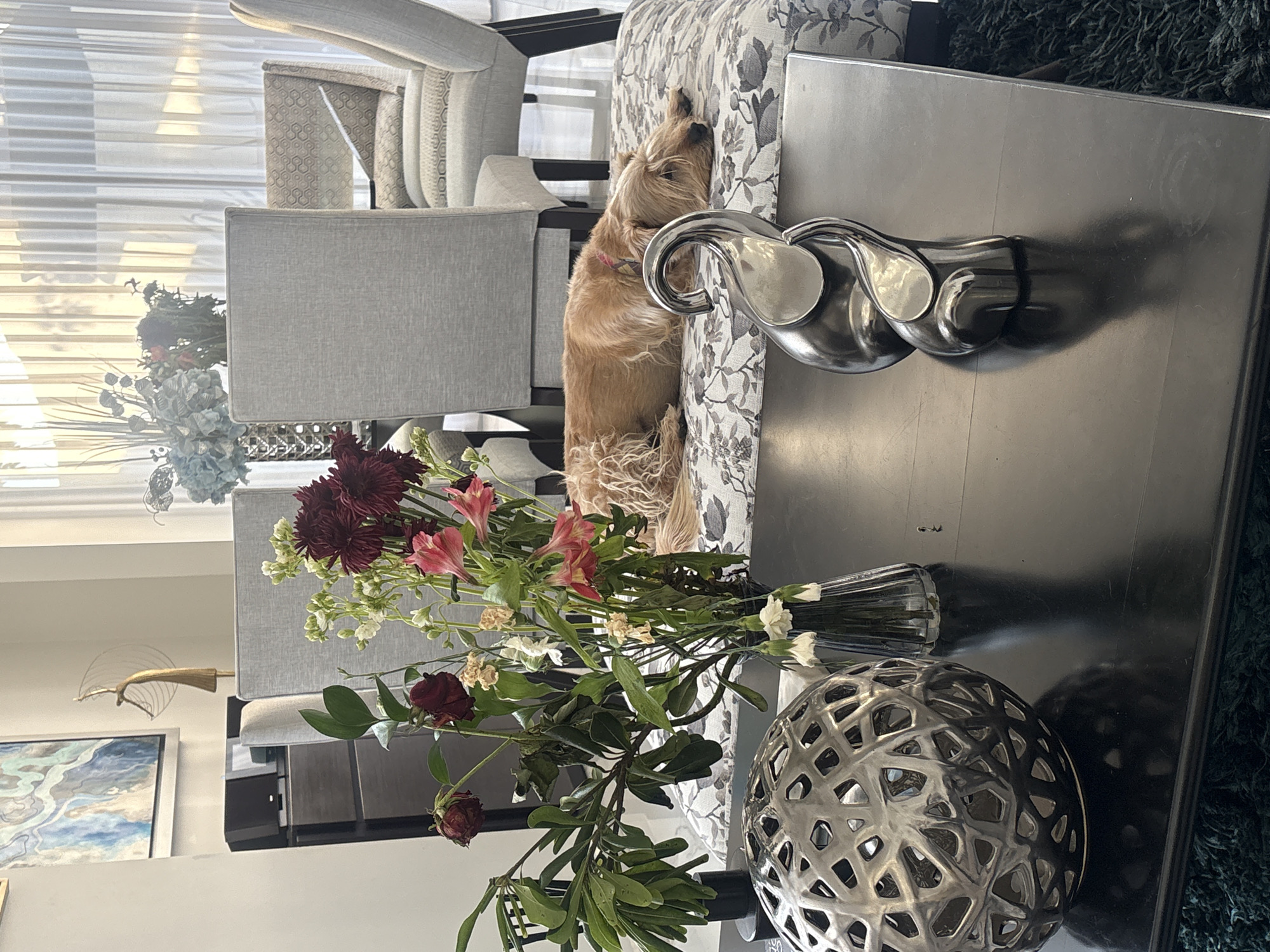 A medium-sized tan dog rests on a patterned armchair next to a dark, reflective coffee table. On the table are a silver decorative object, a vase of flowers, and a silver sculptural piece resembling a ladle stand. In the background are light-colored chairs and partially visible window blinds. The image's origin in San Bernardino Tlaxcalancingo, Mexico, cannot be confirmed from the image's content alone.