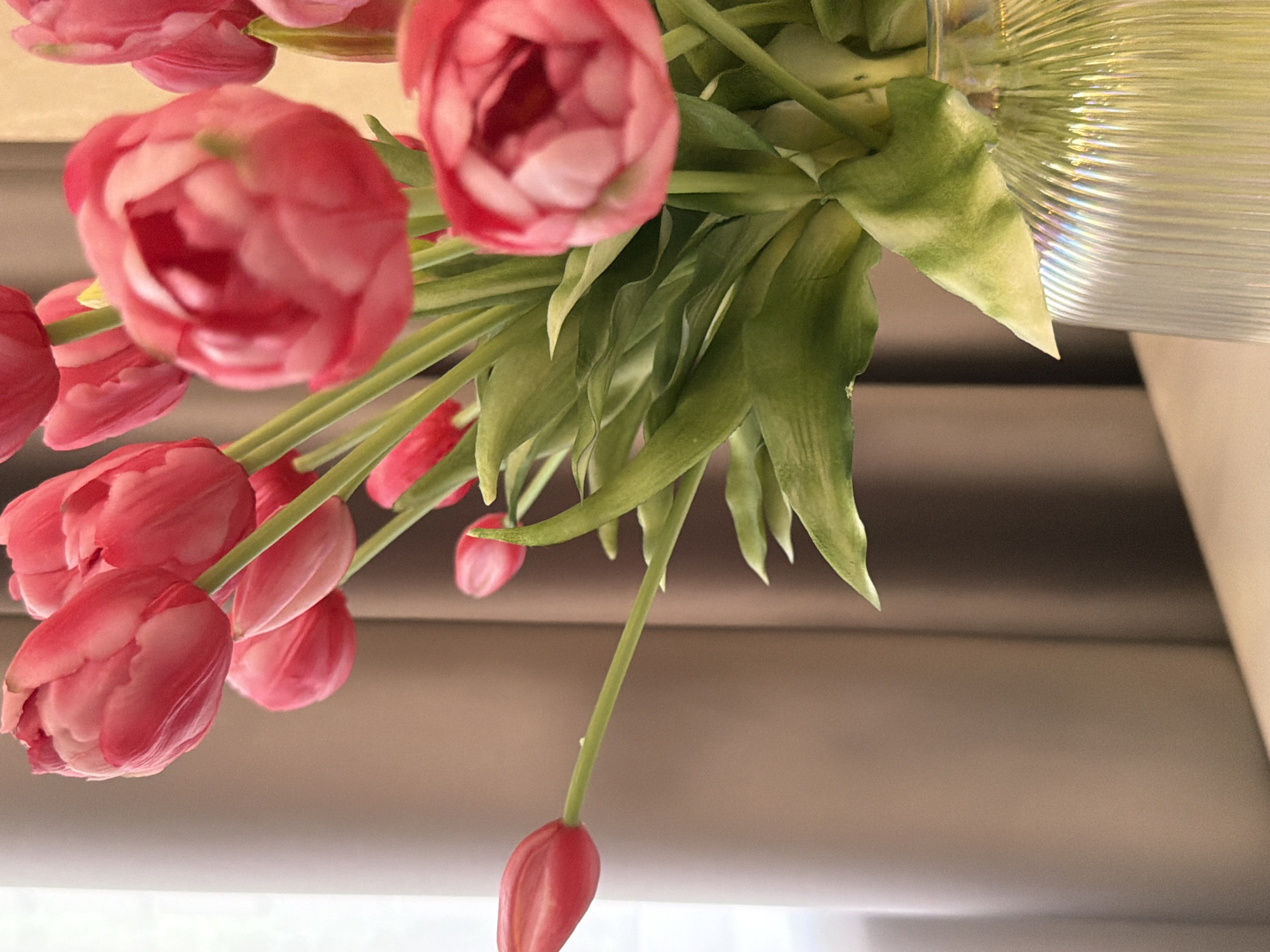 A close-up, vertical shot captures a bouquet of pink tulips in a clear, fluted glass vase. The tulips are in various stages of bloom, with some fully open and others still in bud. The petals are a vibrant shade of pink, with subtle variations in color and texture. The leaves are a deep green, some with lighter, almost white streaks. The vase, with its ribbed texture, reflects the light, creating a subtle rainbow effect. The background is a soft, muted brown, suggesting a curtain or drapery. The lighting is soft and diffused, likely from a nearby window, casting gentle shadows. The overall impression is one of natural beauty and delicate elegance. The scene is set indoors, on what appears to be a light-colored surface, possibly a table or countertop. No people are visible.