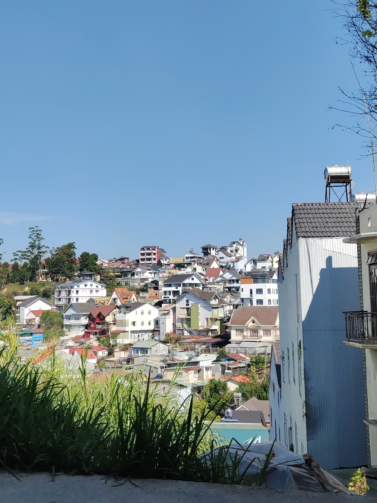 The image captures a hillside view in Da Lat, Vietnam, densely populated with houses and buildings of varying architectural styles. The clear blue sky dominates the upper portion of the frame. The structures are painted in various colors, including white, beige, red, and blue. In the foreground, tall green grass obscures the lower edge of the scene, while a multi-story building with a gray tiled roof is located on the right side of the frame. A water tank is placed on top of the building. The scene depicts a typical urban landscape in Da Lat, characterized by its hillside topography and diverse architectural styles.