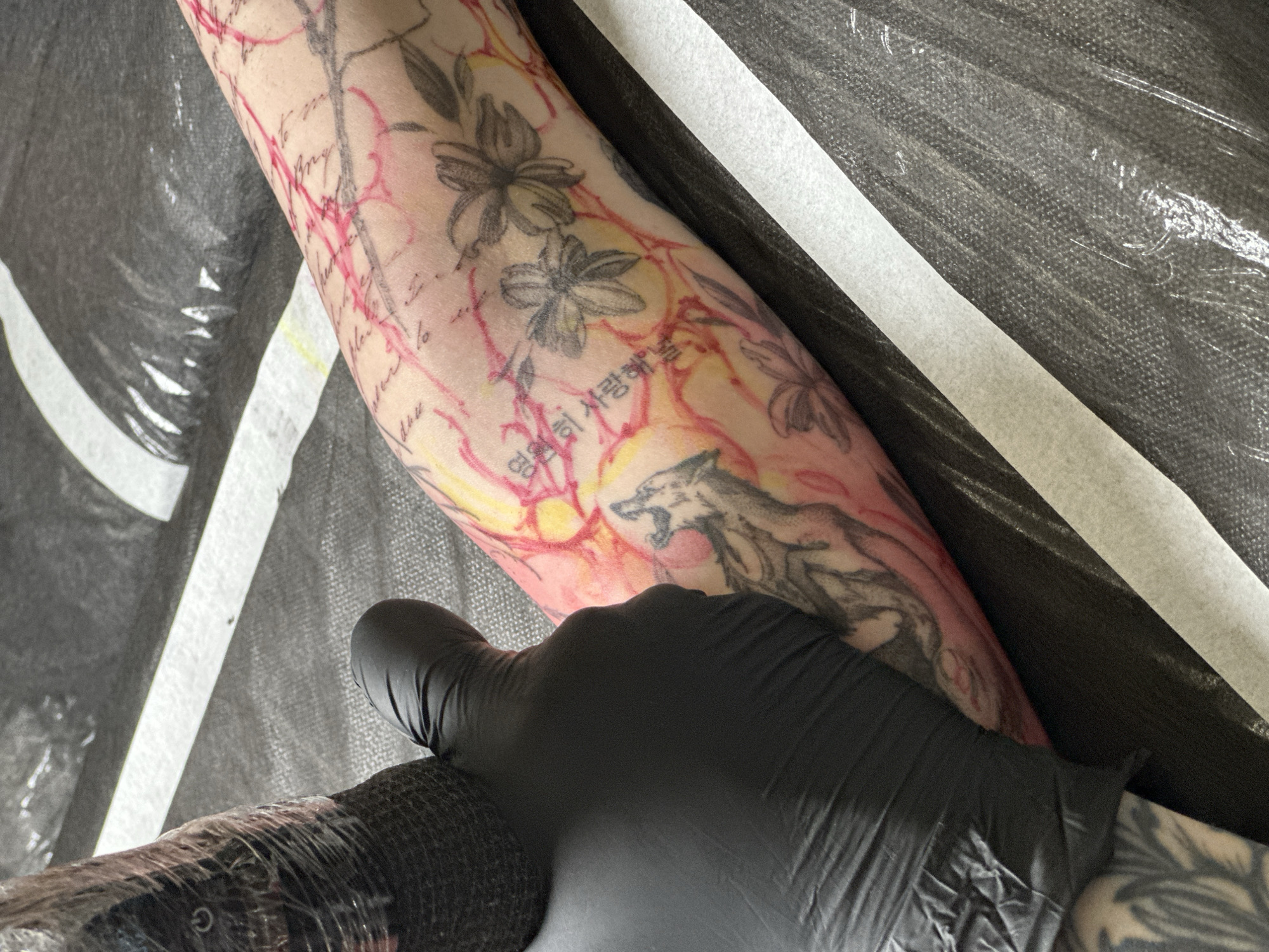 A close-up, high-angle shot captures a person's forearm, extensively adorned with tattoos, being held by a hand encased in a black nitrile glove. The arm showcases a complex array of designs, including black and gray floral patterns resembling cherry blossoms, and script handwriting in black ink. A prominent black and gray tattoo of a stylized fox or wolf, depicted with its mouth open, is visible on the lower forearm. Interspersed among these designs and forming a background layer are vibrant red and yellow abstract lines or washes, possibly fresh ink or stencil markings. Korean characters, "영원히 사랑해," translating to "love forever" or "I love you forever," are visible on the arm.
The gloved hand gently supports the tattooed arm. To the left, a portion of a tattoo machine's handle, wrapped in black cling film, is partially visible. The background consists of a dark, textured surface covered with a clear plastic protective sheet, along with a white stripe, indicative of a sterile studio environment. The image suggests an active or recently completed tattooing session, characterized by the fresh appearance of some ink and the professional setup.