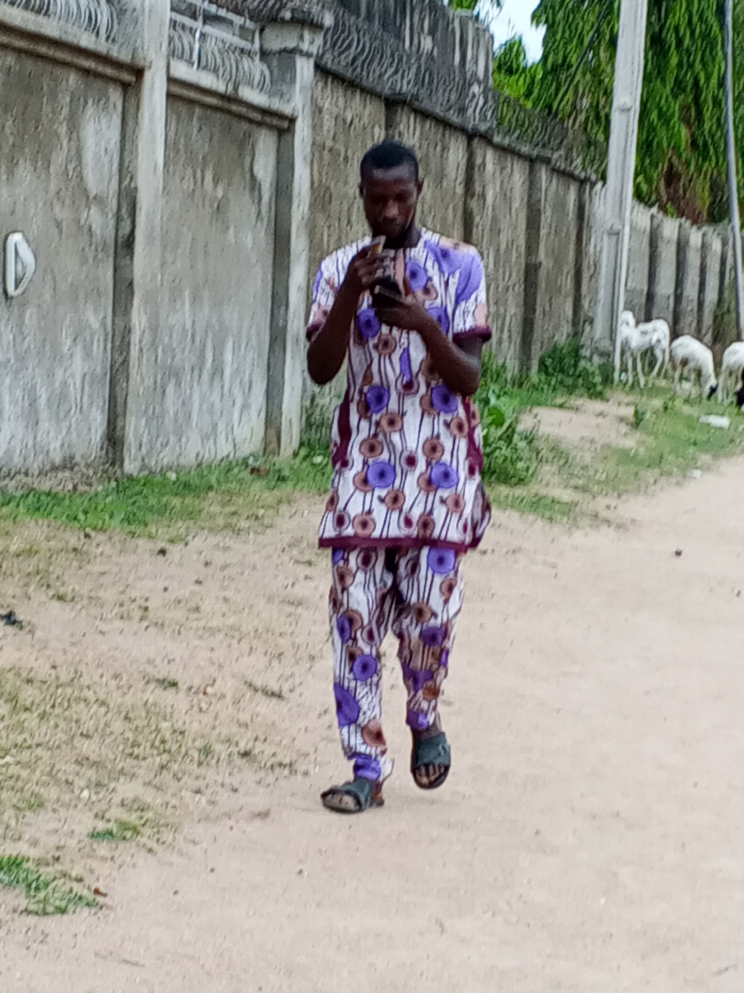 A man in patterned purple and white clothing is walking along a dirt road in Otokiti, Nigeria. He is looking at his phone. Behind him is a concrete wall topped with barbed wire, with some sheep grazing beyond it. A utility pole is also visible to the right.