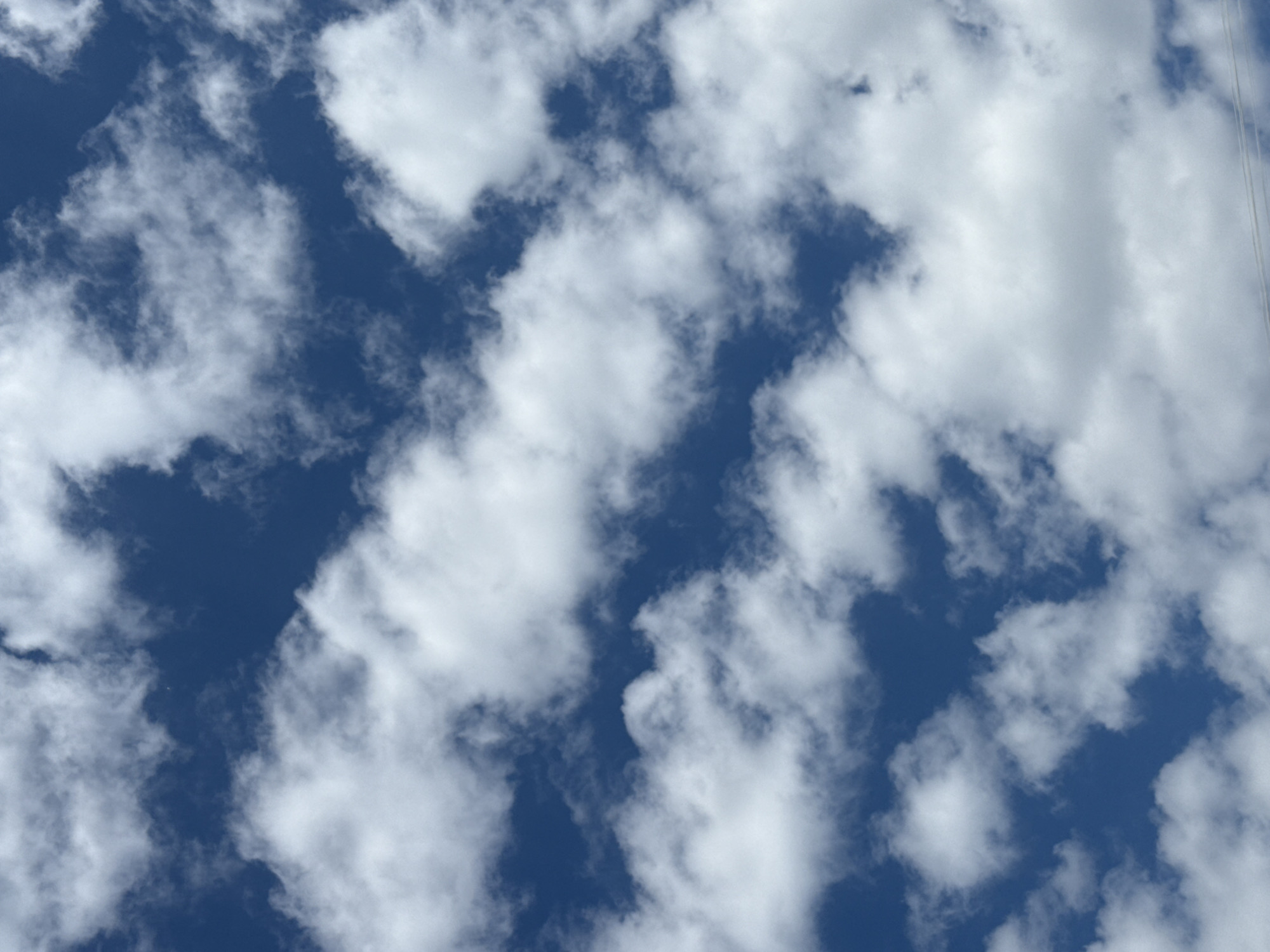 The image is a close-up, full-frame shot of a blue sky filled with scattered white clouds. The clouds are varied in shape and density, with some appearing wispy and thin, while others are more solid and voluminous. The lighting suggests a bright, daytime scene, with the sun likely positioned somewhere out of frame, illuminating the clouds from above. There are no discernible landmarks or city elements visible, making it impossible to determine a specific location within Tbilisi, Georgia, or any other city. The image is devoid of any people, subjects, objects, actions, or interactions.