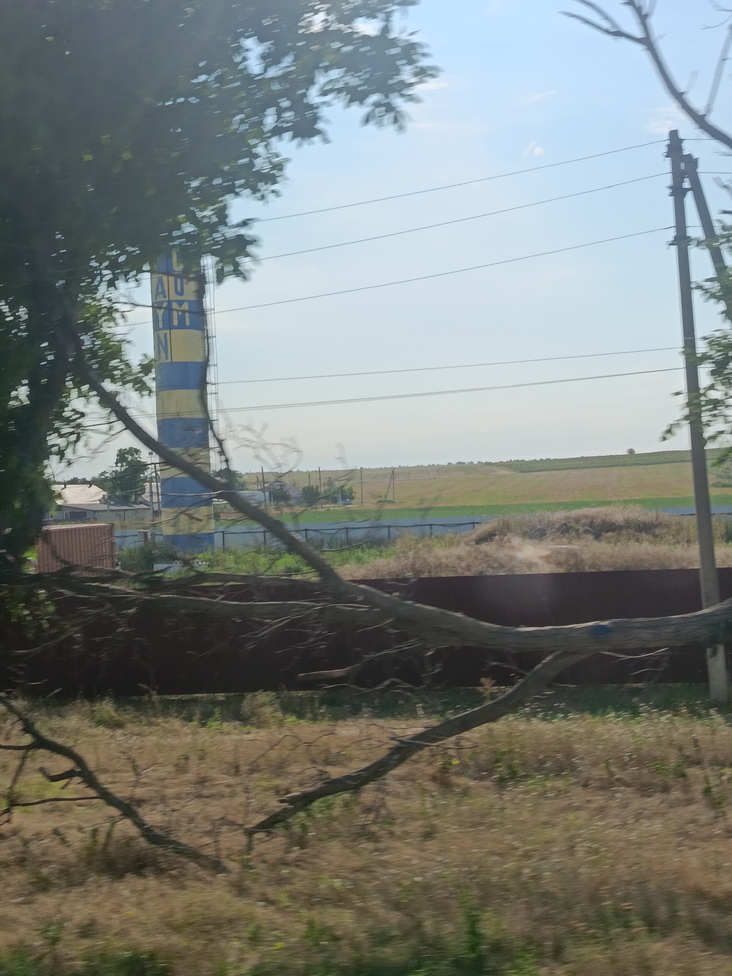 An outdoor, daytime, slightly blurry shot depicts a rural scene near Chirsova, Moldova. In the foreground, a large, bare tree branch extends across the frame. The midground shows a fence, dry grass, and more scattered branches. Beyond the fence, a tall, cylindrical structure, possibly a water tower, stands with alternating yellow and blue vertical stripes. The word "Y M" is visible in blue letters on a yellow stripe on the tower. Further in the background, agricultural fields with different crop colors are visible under a clear, pale blue sky. A utility pole with wires is also present on the right side of the image. Several houses and a shipping container are visible to the left of the striped tower.