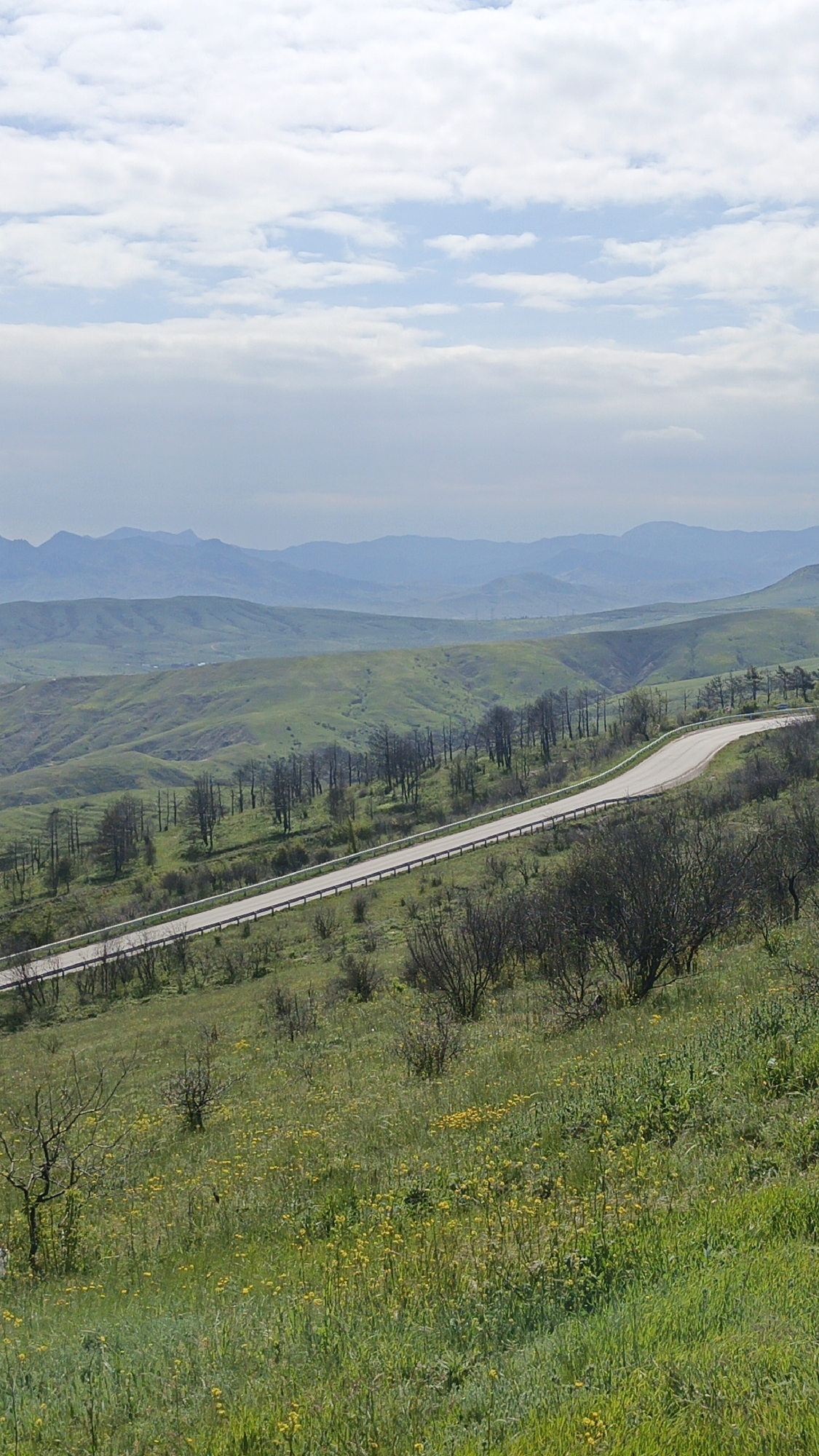 The image depicts a landscape with a winding road cutting through a grassy hillside. In the distance, layers of rolling hills and mountains are visible under a sky with scattered clouds. Closer to the foreground, the hillside is covered in green vegetation and yellow flowers. Along the road, there are occasional bare trees and shrubs. No people are visible. The image does not contain enough details to verify that the location is in the city of Feodosia, Ukraine.