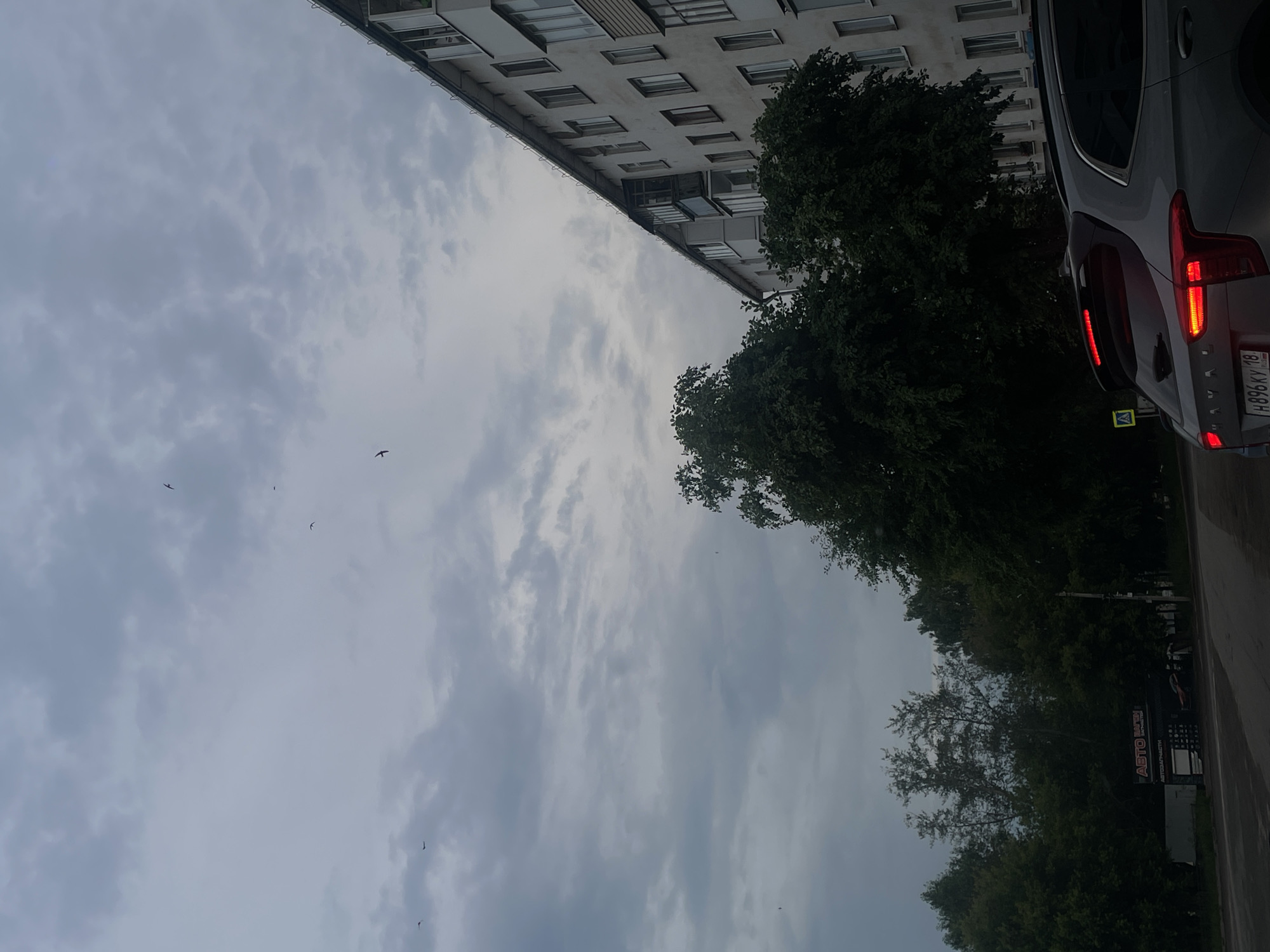 This media file captures an outdoor scene, likely in Votkinsk, Russia, under a cloudy sky, suggesting a potentially overcast or impending rainy day. The image is oriented vertically.
The primary subjects include a multi-story apartment building with numerous windows, a dense green tree line, and a portion of a grey car. The building appears to be made of concrete panels with a repetitive window pattern, typical of Soviet-era architecture. A large, leafy tree is prominently positioned, partially obscuring the building and the sky. The grey car is positioned on the right side of the frame, its rear taillights illuminated, indicating it might be a vehicle from the early 2000s, possibly with a Russian license plate. Small birds are visible in the sky, silhouetted against the clouds, suggesting they are in flight.
The setting appears to be a residential area, possibly a street or courtyard, with the apartment building and trees characteristic of urban or suburban environments. There is no discernible activity or event taking place beyond the presence of the car and the birds in the sky. The mood is neutral, with the cloudy sky contributing to a somewhat somber or muted atmosphere.
Visible text on the car's license plate reads "H896KY 18", where "18" likely signifies the Udmurt Republic region in Russia. There is also a partial view of a sign on the right side, partially obscured by trees, with text that appears to be in Cyrillic. One visible word is "АВТО", which translates to "auto". This sign could be related to an auto parts store or service. The time of day is difficult to pinpoint precisely due to the overcast conditions but could be late afternoon or early evening given the lighting and the illuminated taillights.