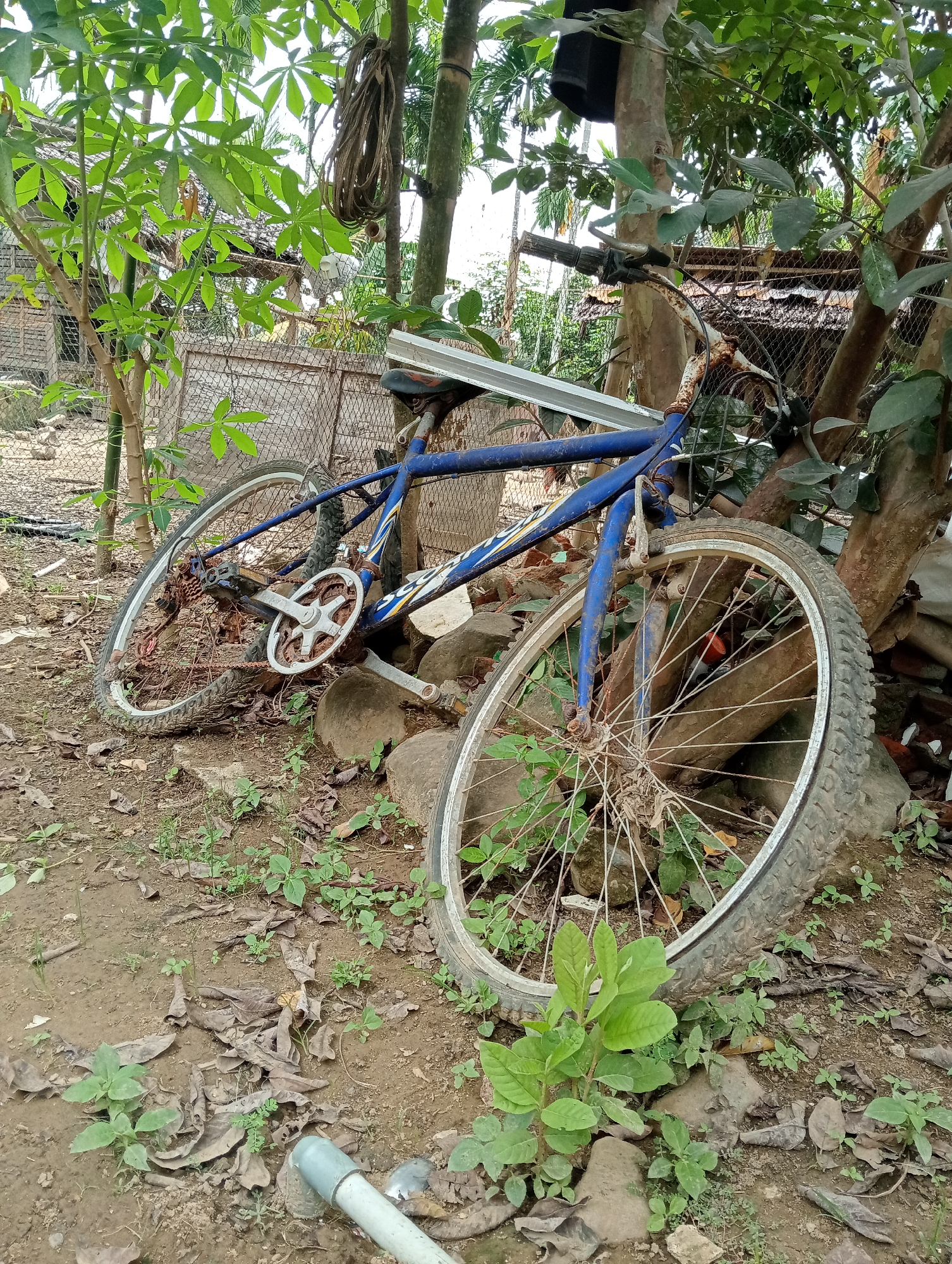 A deteriorated blue bicycle lies abandoned in a yard in Keudekrueng, Indonesia. The bicycle leans against a tree trunk, surrounded by scattered rocks, dried leaves, and patches of grass. The bike is visibly rusty and weathered, indicating prolonged exposure to the elements. A section of gray PVC pipe is visible on the ground near the front wheel. In the background, a wire fence and glimpses of buildings with corrugated roofs are partially obscured by trees. A hanging rope and a dark bucket suspended from a tree branch further populate the scene.