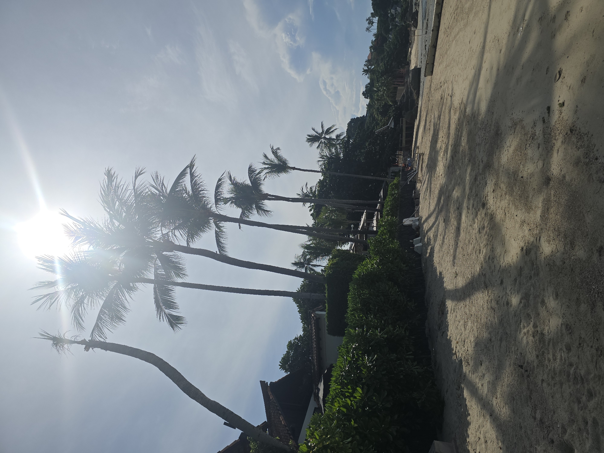 This is a photograph of a tropical beach scene in Baan Chaweng Noi, Thailand, taken on a sunny day. The foreground is dominated by a sandy beach with visible footprints and cast shadows from palm trees. In the mid-ground, a line of lush green bushes separates the beach from a building with a tiled roof and several umbrellas. Behind the bushes and building, a dense forest of palm trees and other tropical vegetation covers a hillside. Several palm trees are prominent, silhouetted against the bright sky and the sun, which creates a lens flare. In the distance, more vegetation and buildings are visible on the slope of the hill, and a section of the ocean and a stone retaining wall are present on the right side of the image. There are a few lounge chairs set up on the sand near the bushes. A single person is visible in the mid-ground, near the lounge chairs.