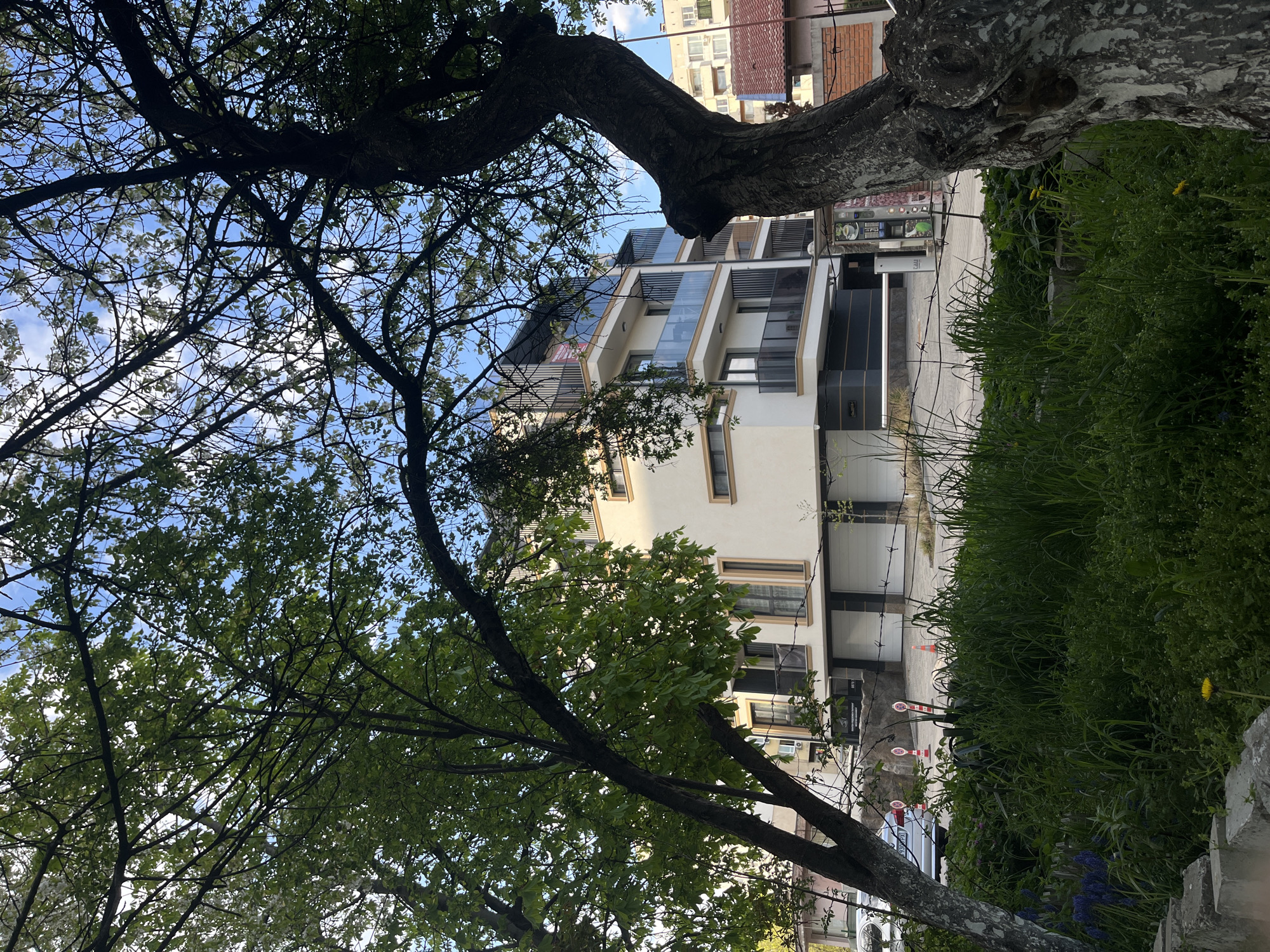 The image, taken in Sofia, Bulgaria, depicts an urban street scene on a bright, sunny day with a clear blue sky and scattered white clouds. The view is framed by the dark, textured trunks and branches of large trees, whose canopies are full of green leaves and delicate white blossoms, indicating spring or early summer.
The central focus is a modern, multi-story building with a light-colored facade, characterized by its contemporary design. It features numerous glass-fronted balconies or large windows with reflective surfaces and horizontal shading elements. In the background, behind this modern structure, an older, taller building with a reddish-brown tiled roof and many windows is partially visible.
Along the street level, a patch of lush green grass with some yellow dandelions and purple flowers runs along the right side. A silver car is partially visible behind the foliage and a tree trunk. The street also features several orange and white traffic cones, suggesting temporary road markings or construction. A black and silver vending machine or information kiosk with screens showing indistinct text stands near the pavement. No people are visible, and the scene appears static and peaceful, capturing a typical daytime street view in the city. Specific text on banners or the kiosk is present but not legible.