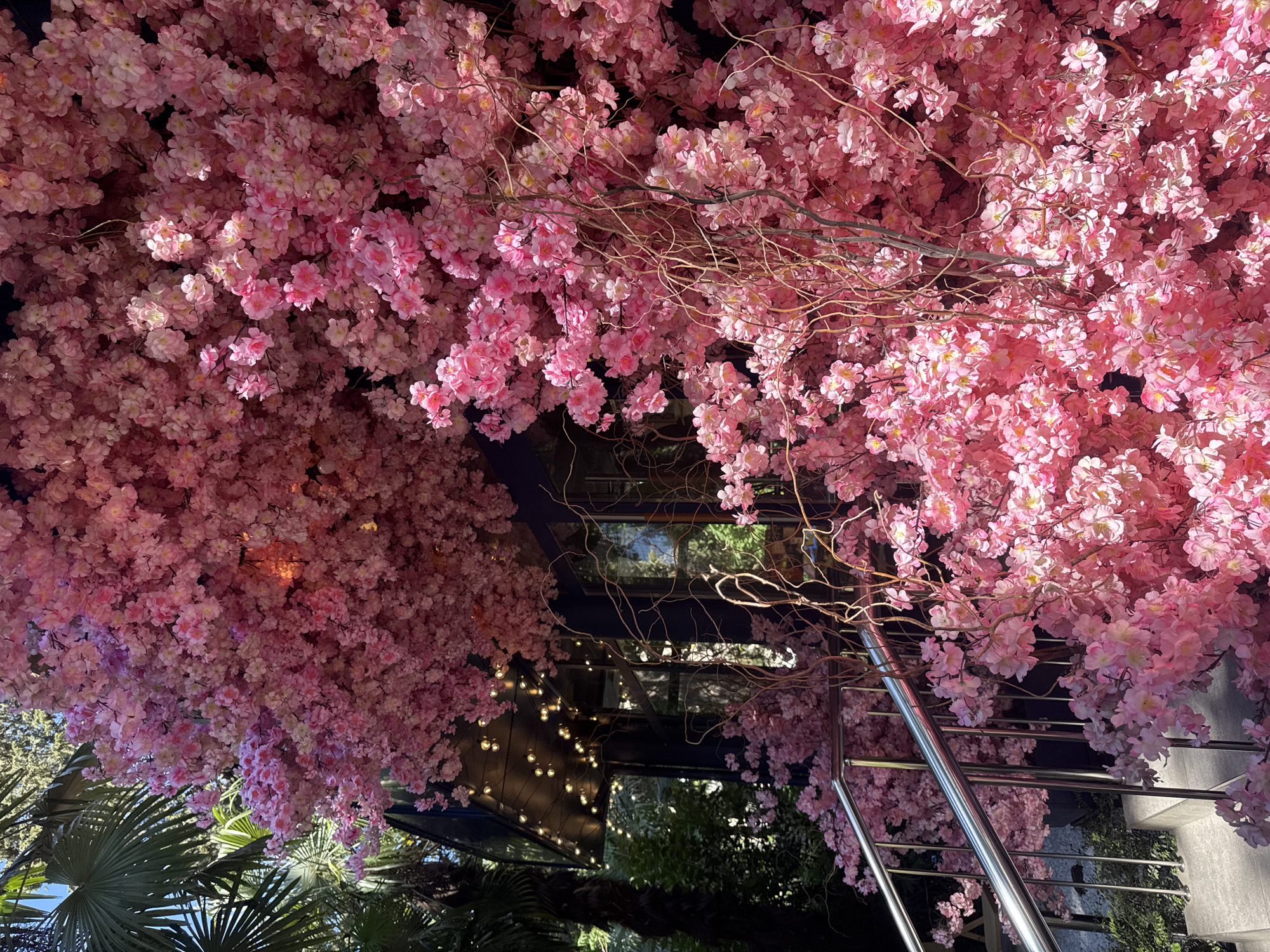 In the city of Sochi, Russia, a building is adorned with an abundance of artificial pink cherry blossoms, creating a vibrant floral canopy. The blossoms cascade down the facade, obscuring much of the building's architecture. A set of stainless steel stairs with a matching handrail is visible in the foreground, leading up towards the entrance. String lights are intermittently draped across the overhang of the building, casting a warm glow against the dark structure. Lush green palm fronds and other foliage are visible in the background, suggesting an outdoor setting. The scene is illuminated by natural daylight, which highlights the intricate details of the delicate pink flowers and the metallic sheen of the stairs.