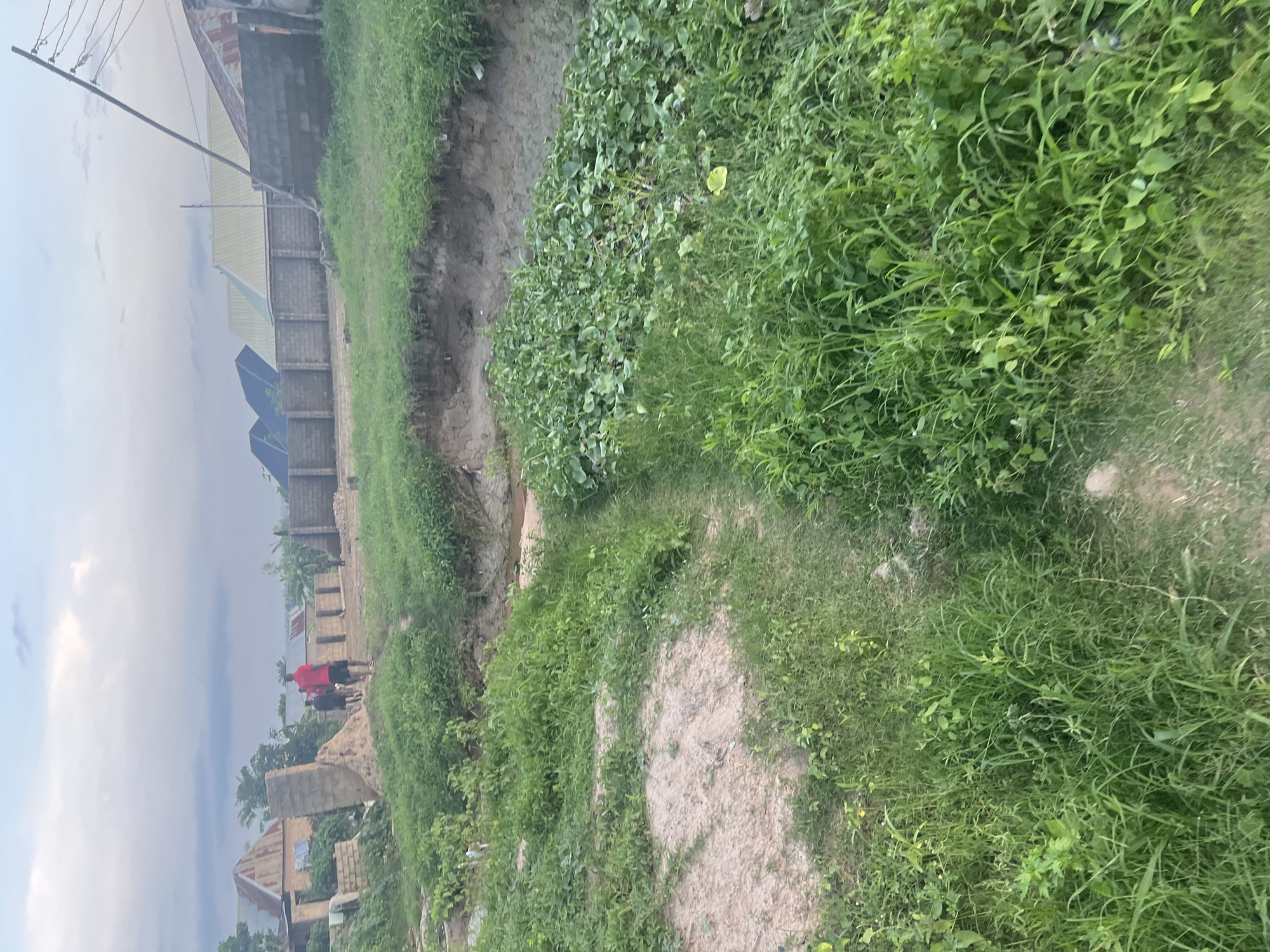 This image captures a scene in Jalingo, Nigeria, focusing on an undeveloped area with signs of ongoing construction and natural vegetation. In the foreground, the ground is covered with dense, green grass and some patches of exposed dirt and sand. A shallow ditch or erosion channel runs through the landscape, bordered by the lush grass.
Further back, the environment transitions to a more built-up area. Several buildings are visible, some appearing to be under construction with exposed brickwork and unfinished walls. The architecture suggests residential or commercial structures, with various roof types including corrugated metal and what appears to be lighter-colored roofing material. A low concrete wall runs along the property line of some of these structures, and in the background, a more substantial brick wall encloses a larger compound.
In the middle ground, two individuals are walking away from the camera. One person, wearing a red shirt and dark shorts, is walking ahead of another person who is obscured from view. They are walking on a path that leads towards the constructed buildings. A single utility pole with electrical wires is prominent on the right side of the image, indicating the presence of essential infrastructure.
The sky above is overcast with clouds, suggesting either early morning or late afternoon light. The overall impression is of a developing urban fringe where nature and construction are coexisting.
