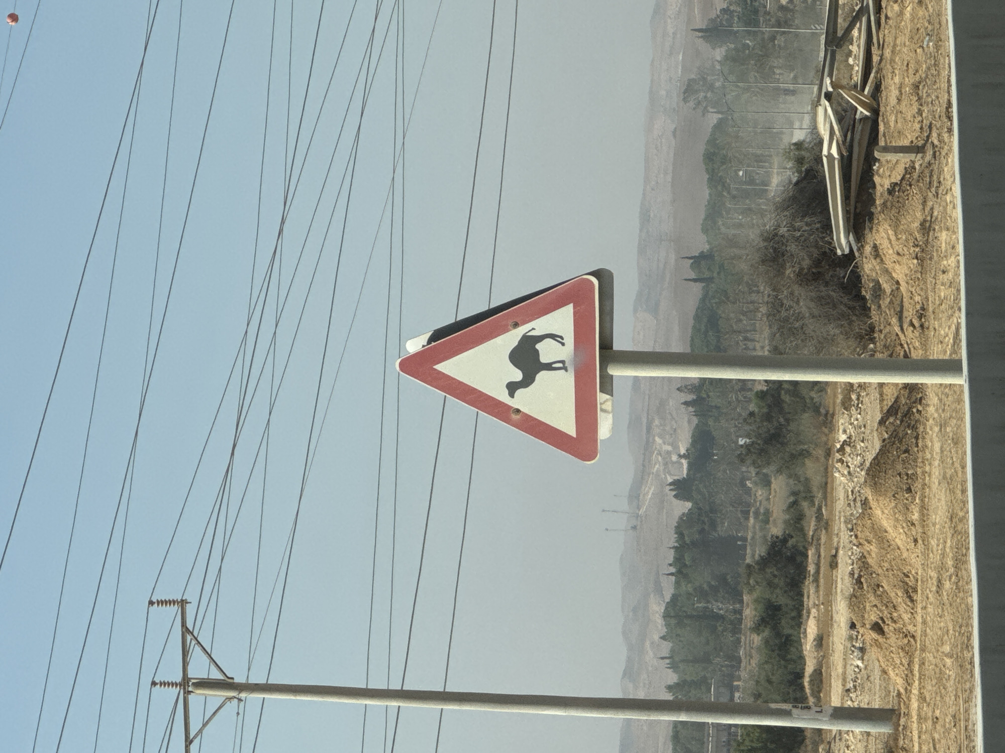 A triangular warning sign with a red border and a white background displays a black silhouette of a camel. The sign is mounted on a metal pole situated in a semi-arid landscape. Power lines crisscross the clear blue sky above. In the background, rolling hills are dotted with sparse vegetation, including trees and shrubs, and some structures resembling communication towers. The foreground consists of dry, sandy ground with piles of dirt and debris, including what appears to be discarded construction materials. The scene suggests a rural or desert environment, consistent with the geography of Ramat Negev Regional Council, Israel. No people or animals are visible.