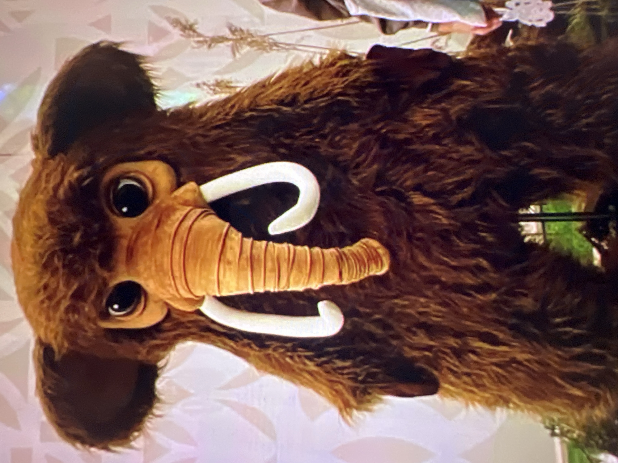 The image is a close-up, head-on shot of a person in a fuzzy brown mammoth costume. The costume has large, dark eyes, a segmented orange trunk with a curled end, and two white tusks that curve upwards. The mammoth's ears are large and floppy. The background is blurred and appears to be indoors, with a light-colored, patterned wall and some tall, dry grasses on the right side. There is a hint of a person on the far right, wearing a light-colored garment. The scene does not provide any information about the city of Minsk, Belarus.