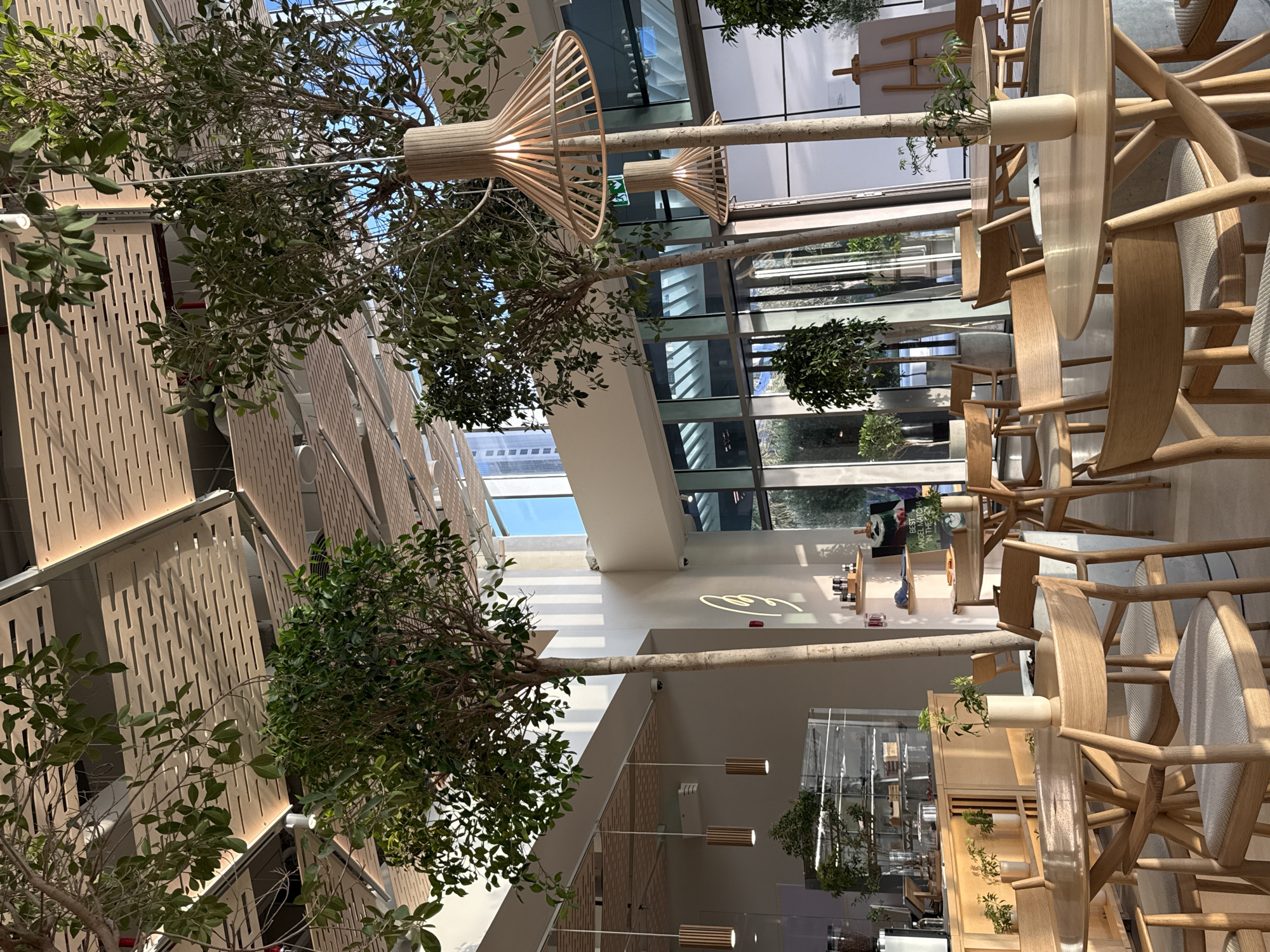 The image depicts the interior of a building, likely a commercial space, in Dubai, United Arab Emirates. The scene features elements of both natural and architectural design. Trees with dense foliage are integrated into the indoor environment, appearing to grow from horizontal structures. These structures also support decorative, cone-shaped light fixtures. Tables and chairs, primarily constructed from light-colored wood, are arranged for dining or gathering. One section of the space displays retail merchandise on shelves and within glass cases. Natural light streams through large windows, and the architectural details, such as the patterned wall panels, suggest a modern and sophisticated design.