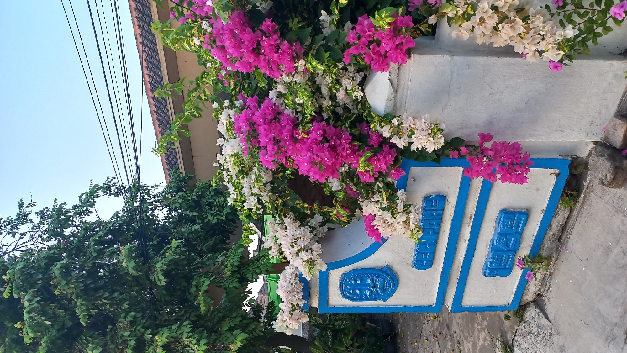 A close-up, vertical, eye-level shot captures a decorative concrete pillar adorned with vibrant bougainvillea flowers in the city of Pare, Indonesia. The pillar is painted white with bold blue trim and features two blue embossed rectangular panels. The upper panel contains a blue emblem, possibly a crest or logo, and the text "SEC.PARE" in blue embossed lettering. The lower panel displays "1958" in blue embossed lettering. Lush pink and white bougainvillea flowers cascade over and around the pillar, their dense clusters contrasting with the greenery of a large tree to the left and the tiled roof of a building in the background. Power lines are visible against a clear, pale blue sky. The ground consists of a concrete sidewalk and scattered small rocks.