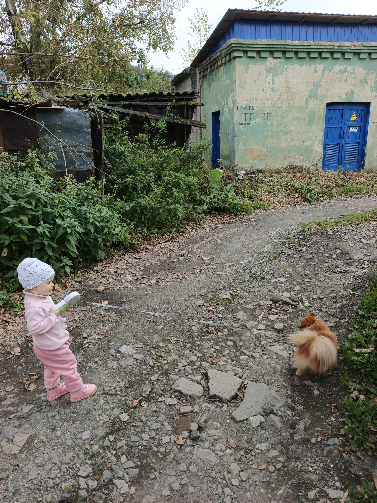 A small child, wearing a pink sweater, pink pants, pink shoes, and a white patterned hat, stands on a rocky path in Zlatoust, Russia. The child holds a white and green toy. A fluffy, reddish-brown dog with a bushy tail stands on the path ahead of the child, facing away from the camera. The environment consists of an overgrown area with green vegetation and fallen leaves. In the background, there is a dilapidated structure with a corrugated metal roof and a faded green building with blue doors and windows. The overall scene depicts a casual outdoor moment between a child and a dog in a somewhat neglected urban setting.