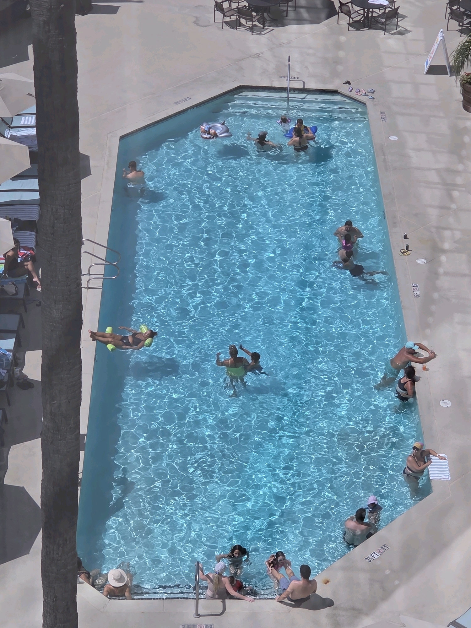 This aerial view captures a rectangular swimming pool in Long Beach, California, filled with clear blue water. The pool area is surrounded by a light-colored concrete deck, with some lounge chairs and umbrellas visible on the side. Several people are enjoying the pool on a sunny day.
In the shallow end, closer to the foreground, a group of people are gathered. A person wearing a white hat is partially submerged in the water, leaning on the pool edge. To their right, two individuals are in the water, with one appearing to be holding onto the pool ladder. Further into the pool, a group of four individuals, including two adults and two children, are playing. One adult is holding a child who is wearing a purple hat.
In the middle section of the pool, a woman is floating on a green inflatable mattress. Nearby, another woman is swimming.
Towards the deeper end of the pool, several other individuals are visible. A man and a woman are partially submerged, with the man appearing to hold another person. Further to the right, a man with a light-colored baseball cap is standing in the water, holding a drink and interacting with a woman who is also in the water.
On the far side of the pool, near the shallow end, a man is swimming. A shark-shaped inflatable float is visible in the water.
The scene suggests a leisurely day at a resort or public pool, with various individuals and groups engaging in recreational activities in the water.