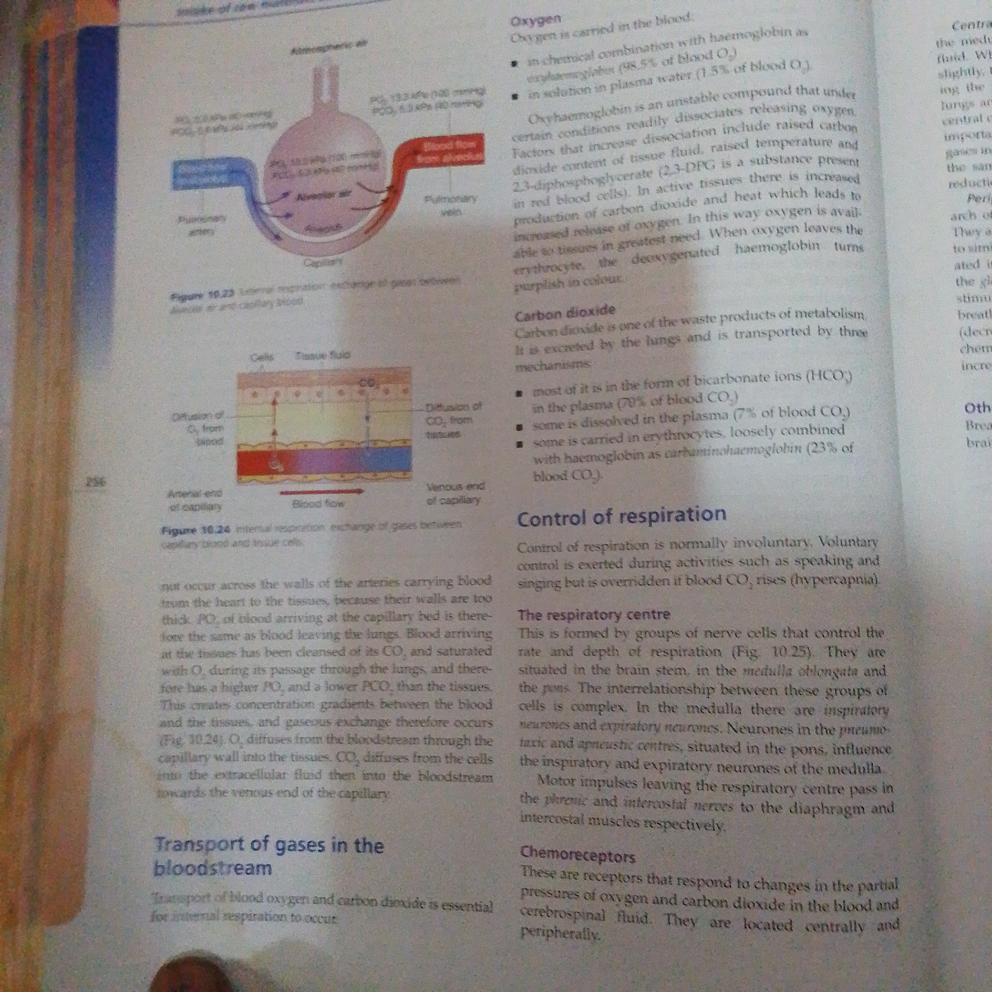 This media file is a page from a biology textbook, likely discussing the respiratory system. The primary subjects are diagrams and text. The diagrams illustrate the exchange of gases in the lungs and tissues, showing alveoli, capillaries, and blood flow. The text explains the transport of oxygen and carbon dioxide in the bloodstream and the control of respiration.
The activity taking place is educational, as the page is designed to convey scientific information to students. There are no people, specific time of day, or weather conditions depicted. The setting is a book page, with a page number "256" visible.
Notable details include labels on the diagrams such as "Atmospheric air," "Alveolar air," "Pulmonary artery," "Pulmonary vein," "Capillary," "Cells," "Tissue fluid," and "Blood flow." Text boxes explain concepts like "Oxygen," "Carbon dioxide," "Control of respiration," "The respiratory centre," and "Chemoreceptors." There are also figures referenced, such as "Figure 10.23" and "Figure 10.24." The text discusses biological processes and anatomical structures related to respiration.
The page appears to be printed on standard textbook paper. The lighting is even, suggesting it was scanned or photographed under good lighting conditions. No specific emotions are conveyed, as the content is factual and scientific. The location context of Jalingo, Nigeria, is not directly evident from the media file itself.