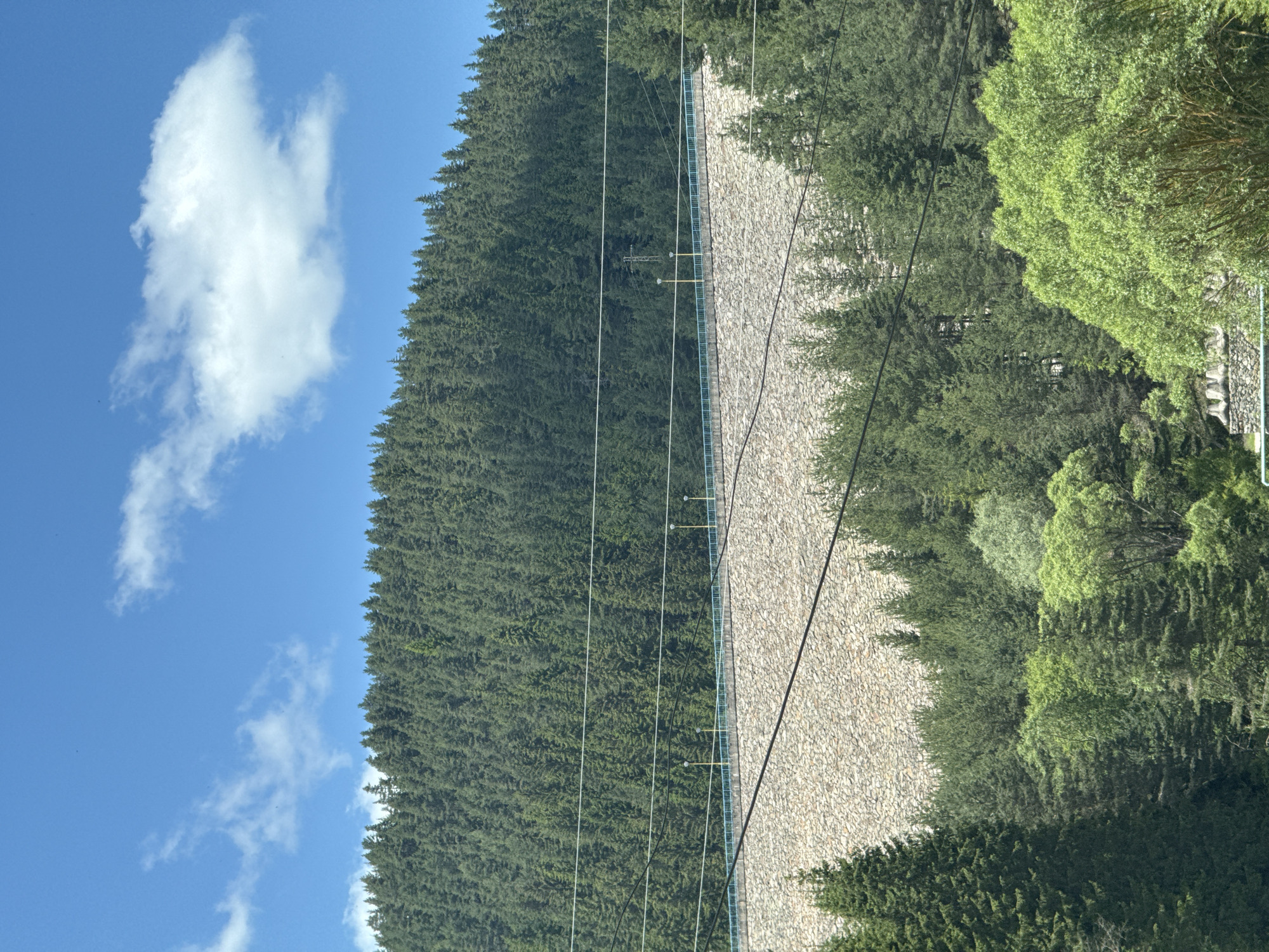 The image shows a wide, stone dam constructed at the base of a densely forested mountain. The dam is covered in numerous small, light-colored stones and has a blue railing running along its top edge, with lampposts spaced at intervals. Power lines are strung across the foreground, obscuring parts of the dam and the forest. The mountain behind the dam is covered in a thick canopy of dark green coniferous trees, creating a uniform texture against the bright blue sky with scattered white clouds. The lower part of the image shows a vibrant green forest with a variety of deciduous and coniferous trees. This scene is located in Dospat, Bulgaria.