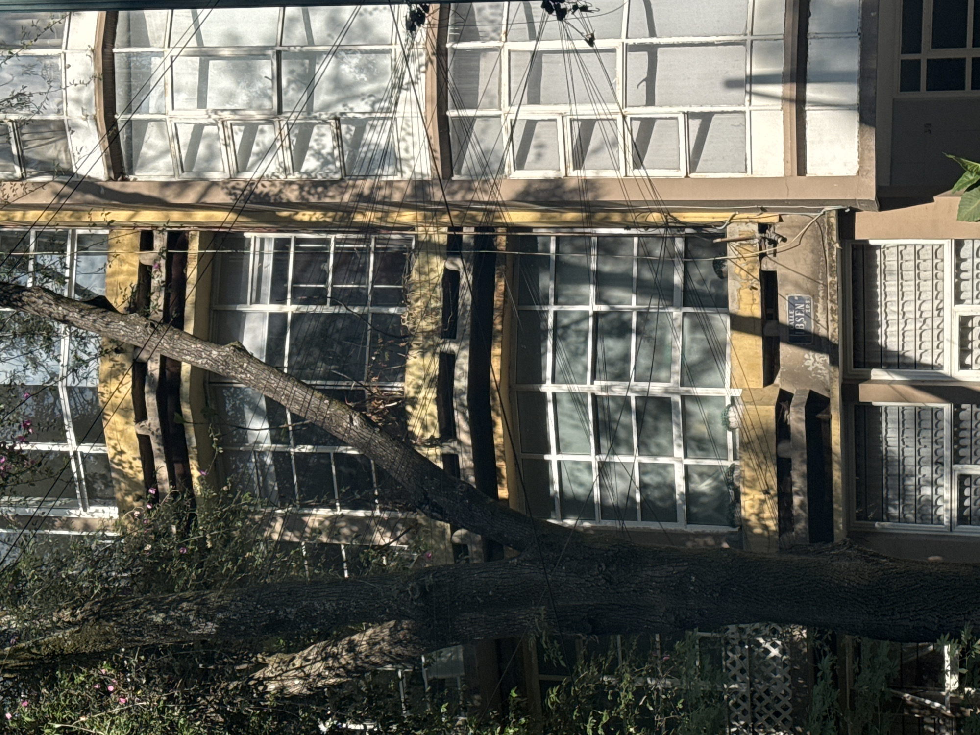 The image depicts a building with multiple windows, obstructed by a large tree branch and dense vegetation. The building appears to be an older structure with a beige exterior and window frames. Multiple power lines run across the facade. A street sign with the text "BSEN" is visible on the building's surface. The setting is likely an urban area.