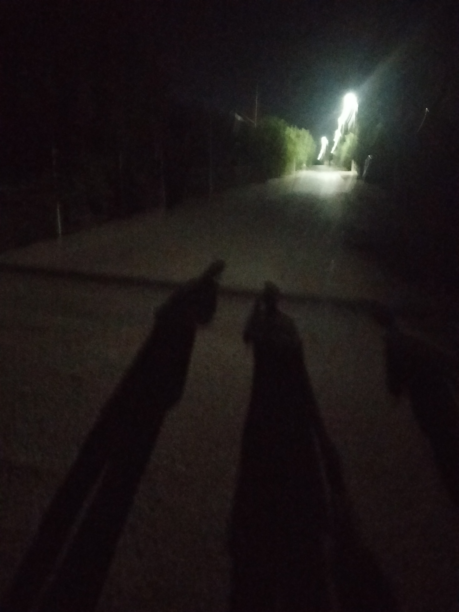 The image depicts a dark, possibly nighttime scene on a paved path or road. The foreground is dominated by the shadows of two individuals' arms and torsos, cast from an unseen light source. One shadow on the left arm appears to be pointing forward with an index finger. The path extends into the background, where it is illuminated by a bright, blurry light source, suggesting streetlights or headlights. On either side of the path, there are blurred masses of dark green vegetation. In the distance, faint vertical lines might indicate poles or structures. The overall impression is that of a dimly lit, possibly rural or suburban road in Kogon City, Uzbekistan.