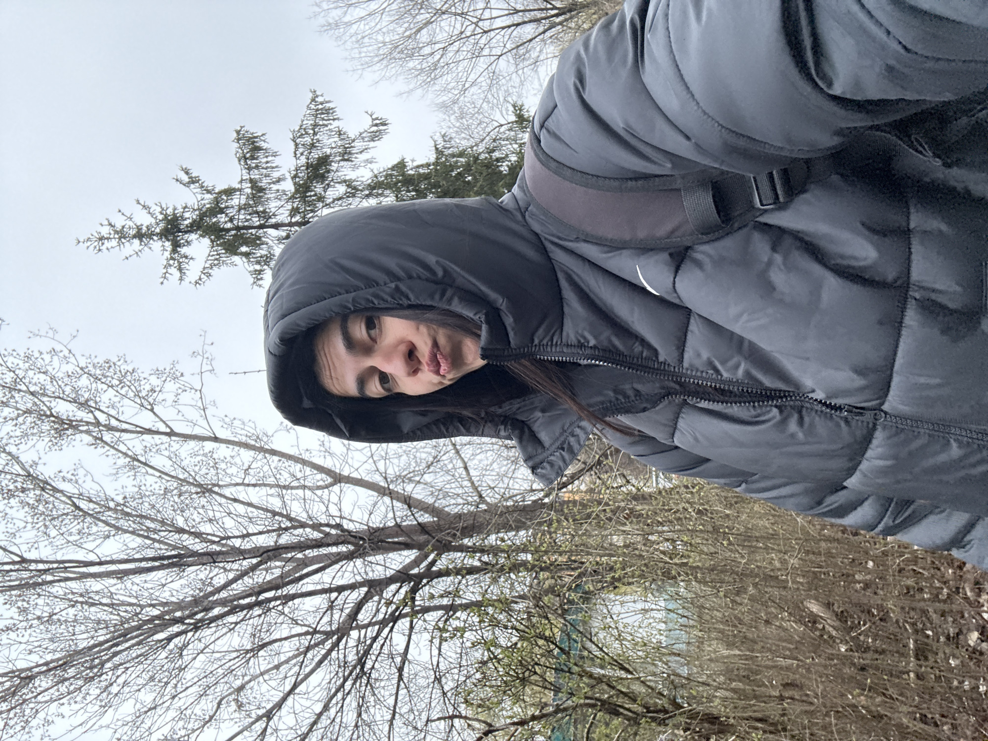 A female subject is captured in a close-up, chest-up outdoor photograph on an overcast day. She wears a black puffer jacket with the hood up, covering her head, and a white Nike swoosh logo is visible on the left chest. A black backpack is worn over her right shoulder. Her dark hair is partially visible. She faces the camera with a 'duck face' expression. The background features primarily bare deciduous trees and a taller coniferous tree against a grey, cloudy sky, indicating late winter or early spring. Dense, leafless shrubs populate the foreground and mid-ground on the left. A light blue element, possibly water or a structure, is visible through the sparse vegetation in the far left background. The scene depicts a park environment, consistent with **Borisova Gradina in Sofia, Bulgaria**.