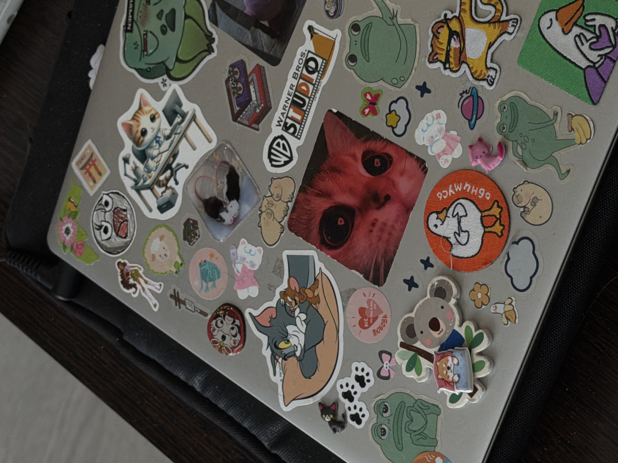 The image displays the lid of a light grey laptop, heavily adorned with a dense collection of stickers and a few small figurines, placed on a dark, textured surface, possibly a desk or laptop stand.
**Subjects:** The primary subject is the laptop lid, serving as a canvas for numerous stickers. These include various animal themes: multiple cats (a large red cat face with glowing eyes, a cartoon cat working at a computer, Tom embracing Jerry, a ginger cat, a tiny black cat figurine, a white cat in a pink dress, two small mice in a clear sticker), several frogs (one dancing, one relaxing), a koala with a small dog, ducks (one on a circular patch, one cartoonish), a green Bulbasaur-like creature, a lamb, and small brown hamster-like figures. Other stickers feature logos and characters such as the "WARNER BROS. STUDIO" logo, a Sailor Moon character, a Japanese Daruma doll, a "Trollface" meme, and a traditional Japanese torii gate. Miscellaneous stickers include paw prints, hearts, stars, clouds, flowers (cherry blossoms), a small banana, a skull with crossbones, a pink planet, and a white teddy bear. Two small figurines, a pink kitten and a black cat, are also stuck to the laptop.
**Activity or event taking place:** The image captures a static display of a personalized laptop lid. No specific activity or event is occurring, but rather a collection of items reflecting the owner's interests and style.
**Notable details:** The stickers vary widely in style, size, and material, with some appearing to be fabric patches (the red cat face and the duck). The lighting is soft and even, suggesting an indoor setting during the daytime. The arrangement of stickers appears eclectic and whimsical. The laptop's position is slightly angled.
**Visible text:** Text visible on the stickers includes "WARNER BROS. STUDIO," "RAMEN" (partially visible), "ОБНЯУСЬ" (OBNYAUS - "I'll hug you" in Russian) on the duck patch, and on a pink heart sticker, "ВСЕ ЛЮБОВЬ" (VSE LYUBOV - "All Love") and "что не можно" (chto ne mozhno - "what is not possible"). "TOKYO" is partially visible on the torii gate sticker.
Location context provided: Засечное, Russia.