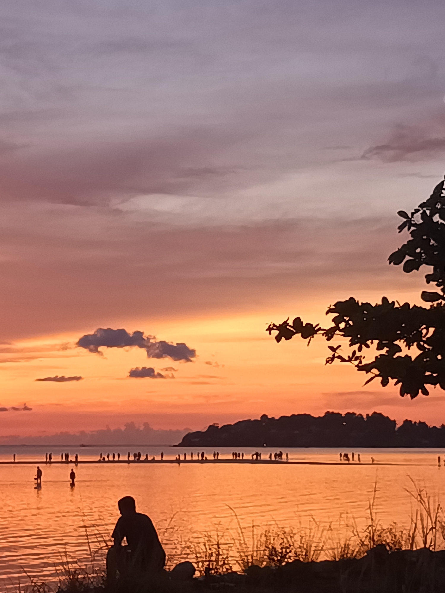 A scenic view captures a vibrant sunset at Baan Sri Thanu, Thailand. The sky transitions from purple at the top to orange near the horizon. Silhouetted figures stand and walk along a sandbar in the water, with a land mass in the distance. In the foreground, a silhouetted individual is seated by the water's edge, surrounded by silhouettes of tall grass. A tree branch with leaves extends into the scene from the right.