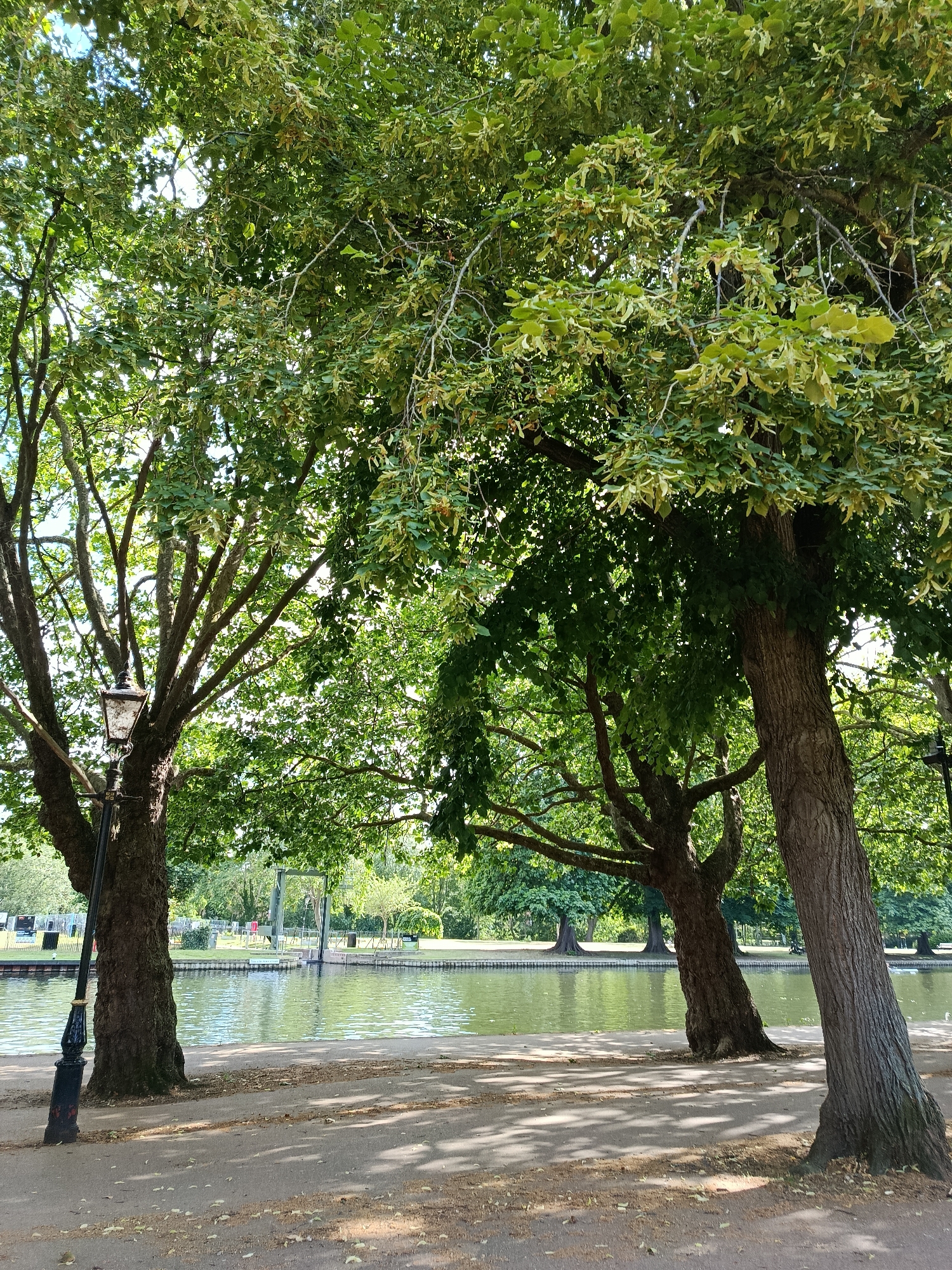 This media file captures a tranquil waterside scene in Bedford, United Kingdom. The foreground is dominated by the thick trunks of mature trees with lush green canopies, casting dappled shadows on a paved pathway. A vintage lamppost stands near the left edge of the frame, adding a touch of old-world charm. Beyond the trees, a calm body of water reflects the greenery and the bright, sunny sky.
In the mid-ground, the water is bordered by a manicured lawn and more trees, creating a picturesque park-like setting. In the distance, a bridge-like structure with a metal framework is visible, suggesting a public park or recreational area. There are some people scattered across the landscape, engaged in leisurely activities, though they are too small and indistinct to discern specific actions. The overall atmosphere is peaceful and idyllic, indicative of a pleasant day, likely in the late morning or early afternoon given the strong sunlight and the shadows. The weather appears to be fair and warm, perfect for outdoor enjoyment. There is no discernible text in the image.