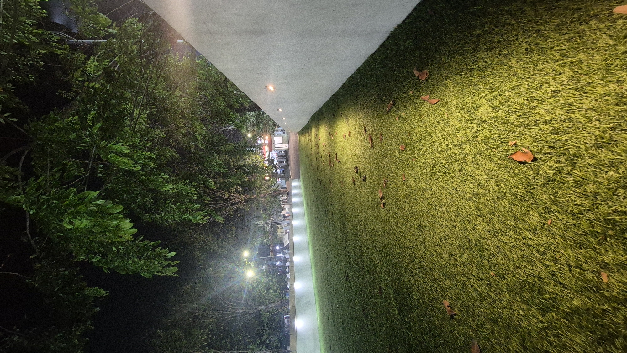 This is a nighttime shot of an outdoor area, likely a park or recreational space in Karawang, Indonesia. The foreground is dominated by a meticulously maintained green lawn, possibly artificial turf, illuminated by warm-toned spotlights embedded in a curved, light-colored wall that recedes into the distance on the right side of the frame. Scattered across the lawn are a few dry, brown leaves, suggesting an autumn or dry season setting.
In the middle ground, the lawn transitions to a paved walkway. Along the edge of this walkway and separated from the lawn by a low, illuminated white wall, are several trees with lush green foliage. These trees are partially lit from below by a series of white lights that create a soft glow. Beyond the trees, the scene is darker but suggests the presence of buildings and streetlights, indicating a more urban environment adjacent to this park-like area. The overall impression is one of a well-lit, tranquil outdoor space designed for evening enjoyment.