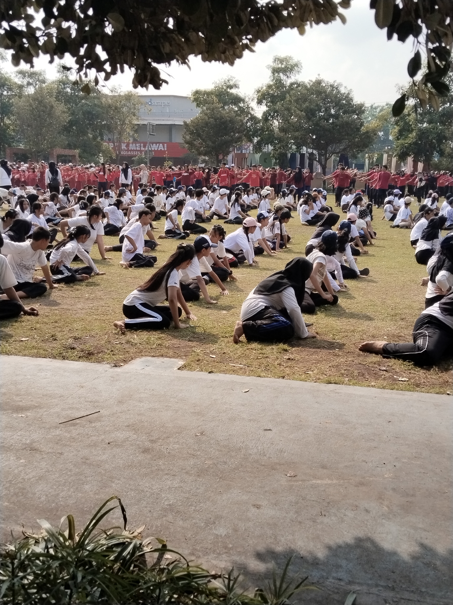 An outdoor scene shows a large group of people, primarily young women and girls, participating in a physical activity on a grassy field in front of a building. The people are dressed in a mix of white and red tops, with some wearing headscarves. Many are seated on the ground with their legs extended or bent, performing exercises or stretches. In the background, a building with the words "ESCAPA" and "MELAWAI" is visible. The environment includes trees and a paved area in the foreground. The overall atmosphere appears to be one of communal activity, possibly a school event or a public exercise session. The location is identified as Kecamatan Pati, Indonesia.