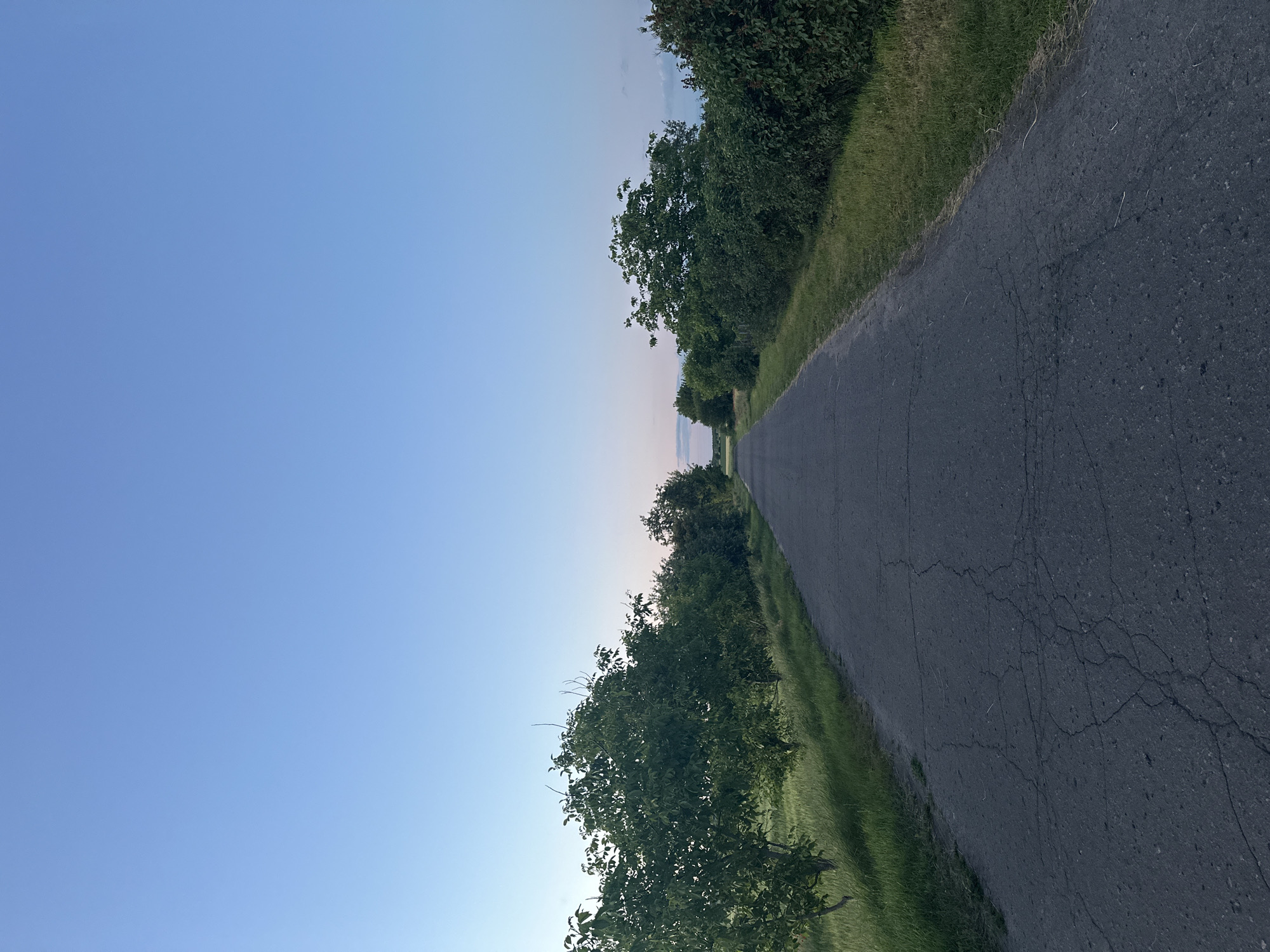 A vertical, eye-level shot captures a desolate asphalt road stretching into the distance under a clear, pale blue sky, transitioning to a faint pinkish hue at the horizon. The road, showing signs of wear with prominent cracks, is flanked on both sides by dense green trees and grass. The trees appear to be lining the road in a somewhat uniform fashion, suggesting a maintained pathway or a planted avenue. The overall atmosphere is tranquil, with no people or vehicles present, evoking a sense of solitude and a rural setting. The location is identified as being within the city of Ustyvytsia, Ukraine.
