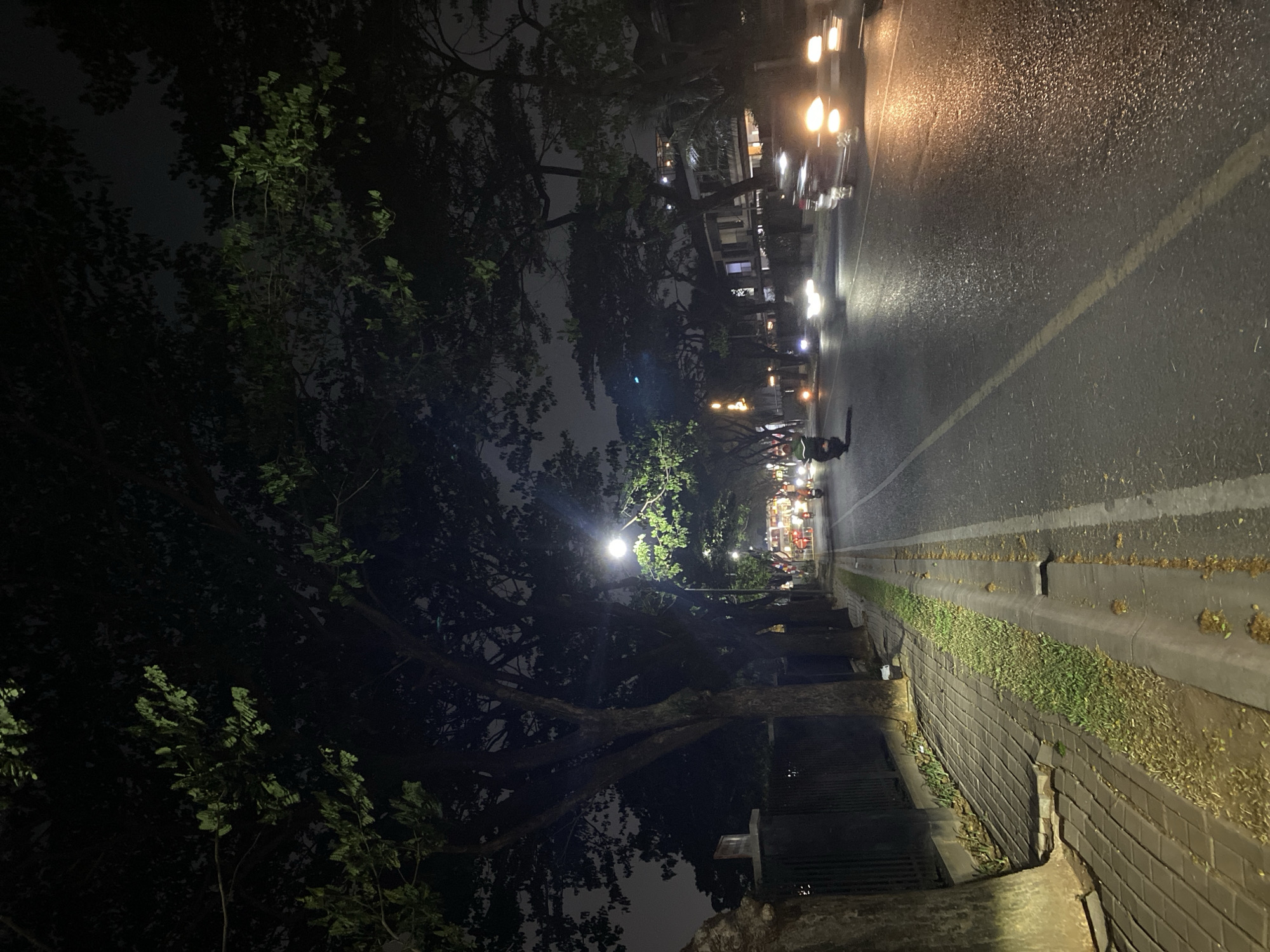 The image captures a street scene in South Tangerang, Indonesia, at night. A tree-lined road is illuminated by streetlights and the headlights of vehicles. On the left side of the road, a sidewalk paved with bricks is visible, bordered by a fence and large trees. The road itself appears wet, reflecting the lights from vehicles. Several motorcycles and at least one car are traveling on the road. In the background, buildings and more trees can be seen under the dim night sky.