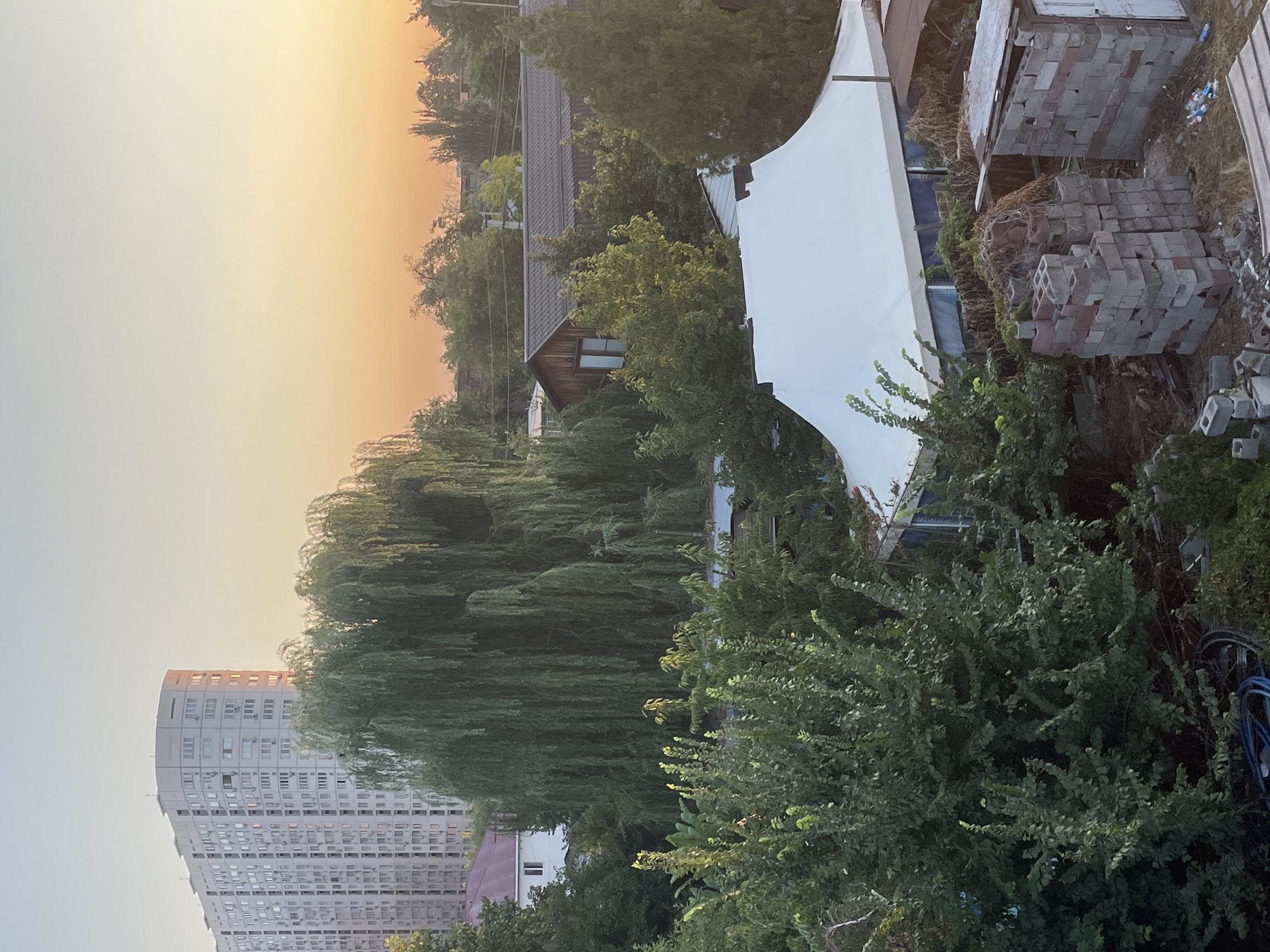 The image shows a suburban residential area at sunset in Almaty, Kazakhstan. In the background, a tall, multi-story apartment building with many windows stands against a gradient sky transitioning from light blue to orange. In the mid-ground, a large weeping willow tree dominates the scene, with its branches cascading downwards. Several other trees, some with dense foliage, are scattered throughout, and a small wooden house with a dark roof is visible. In the foreground, a large white tent is pitched. Adjacent to the tent, stacks of concrete blocks and some discarded materials suggest ongoing construction or renovation. The overall impression is a blend of urban infrastructure and a more rural, residential setting. There are no people or animals visible in the image.